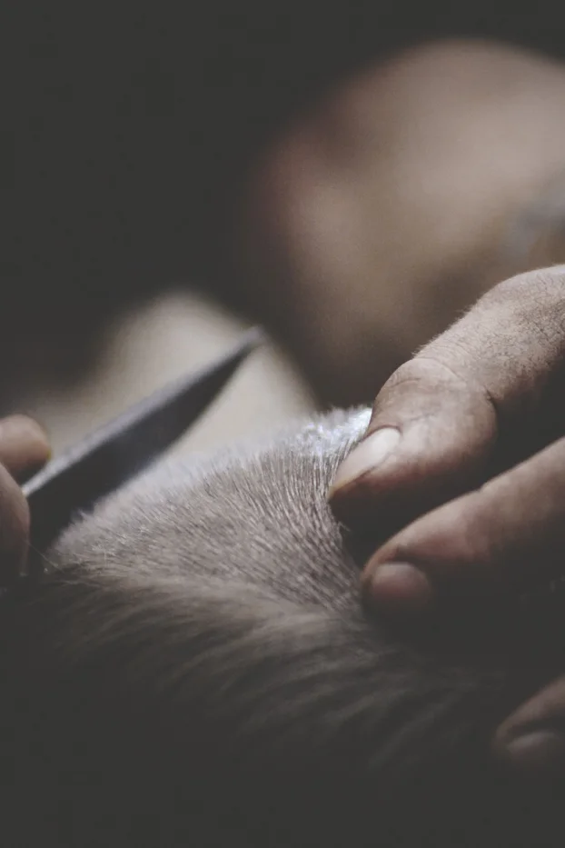 tumblr_n603syZmWc1qbvwkgo1_1280.jpg