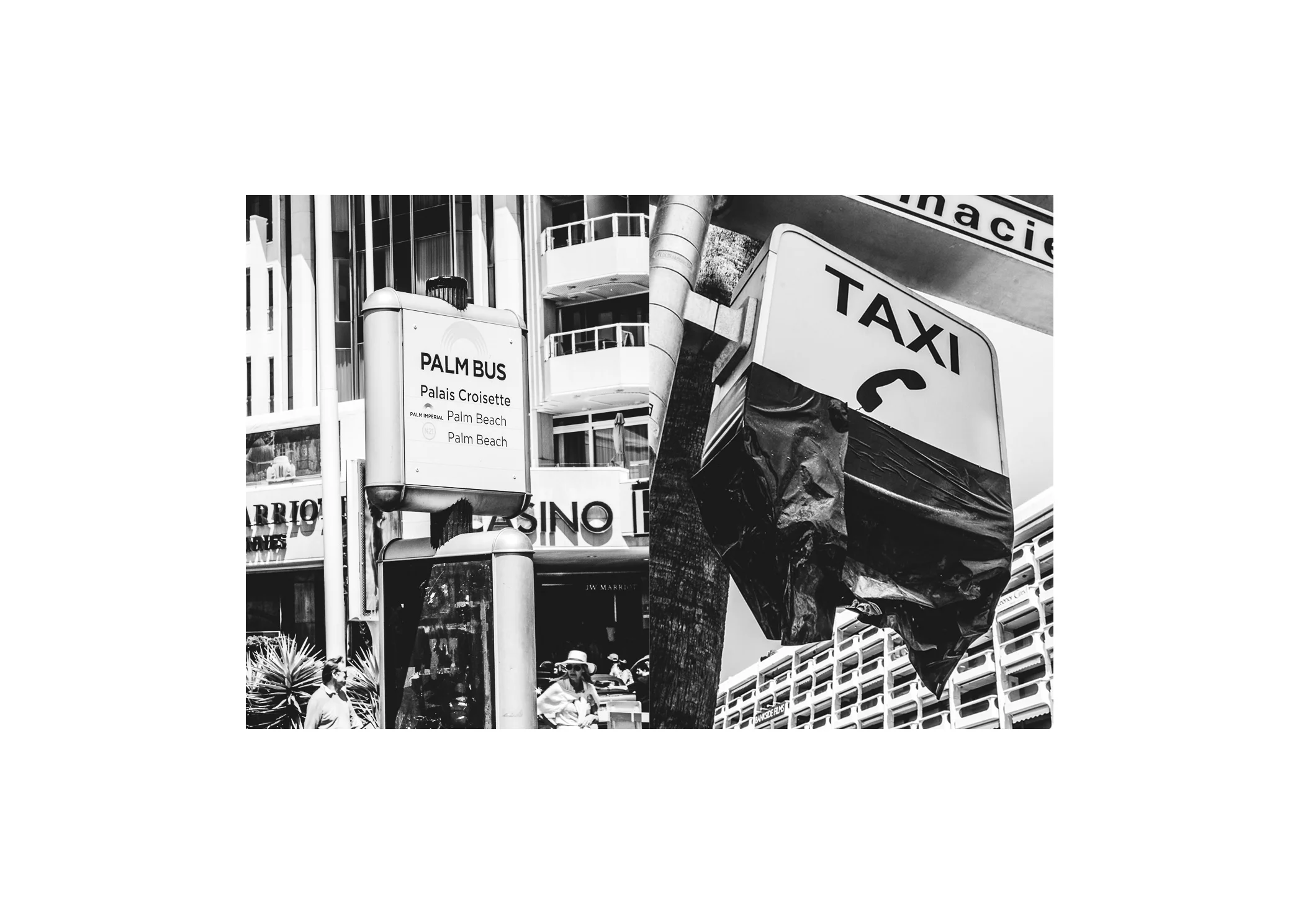 Taxi+Bus.jpg