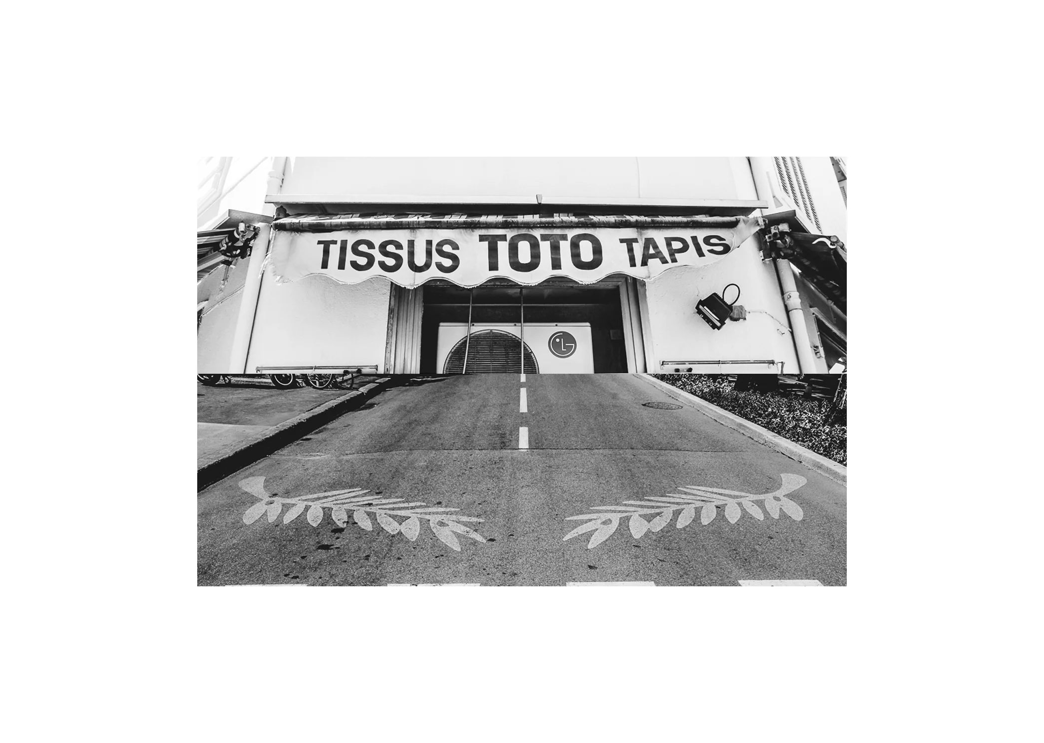 Toto+PalmeDor.jpg