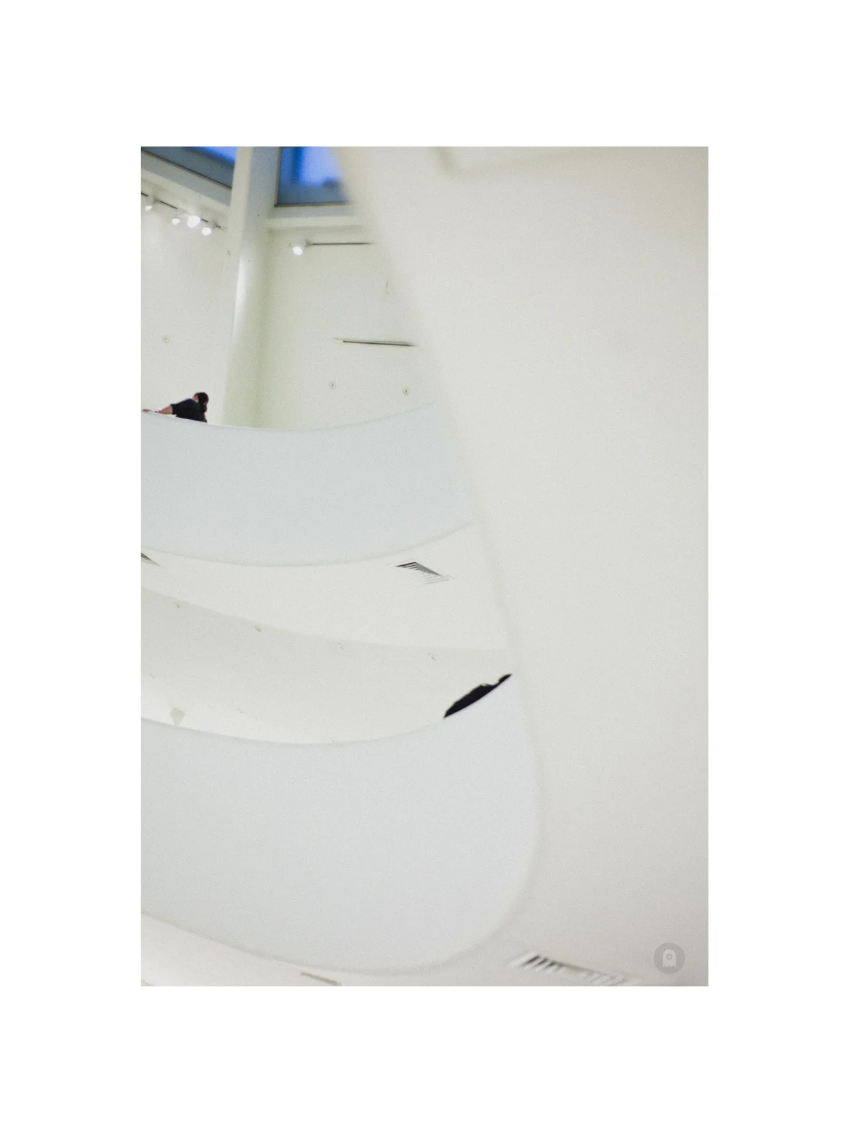 Guggenheim_20179.jpg