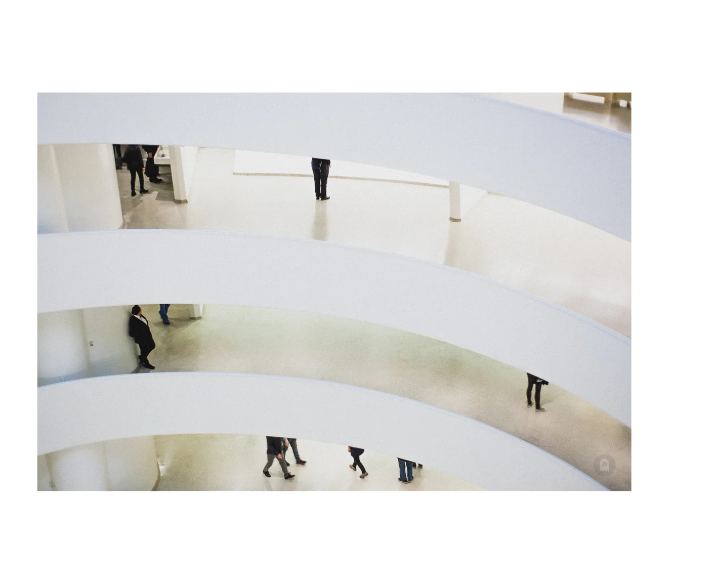 Guggenheim_double_20172.jpg