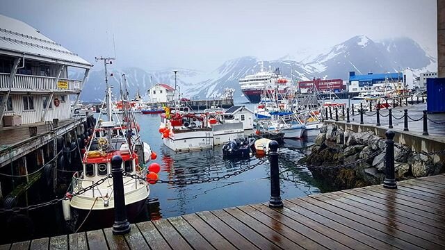 Looking out towards the harbour of Honningsv&aring;g - the northernmost city in Norway. Located at 71&deg;N. 🇳🇴
.
.
.
#norwaytravel #hurtigruten #hurtigrutenrichardwith #Norway #northernnorway #travel #wanderer #adventure #norge #nordnorge #harbour