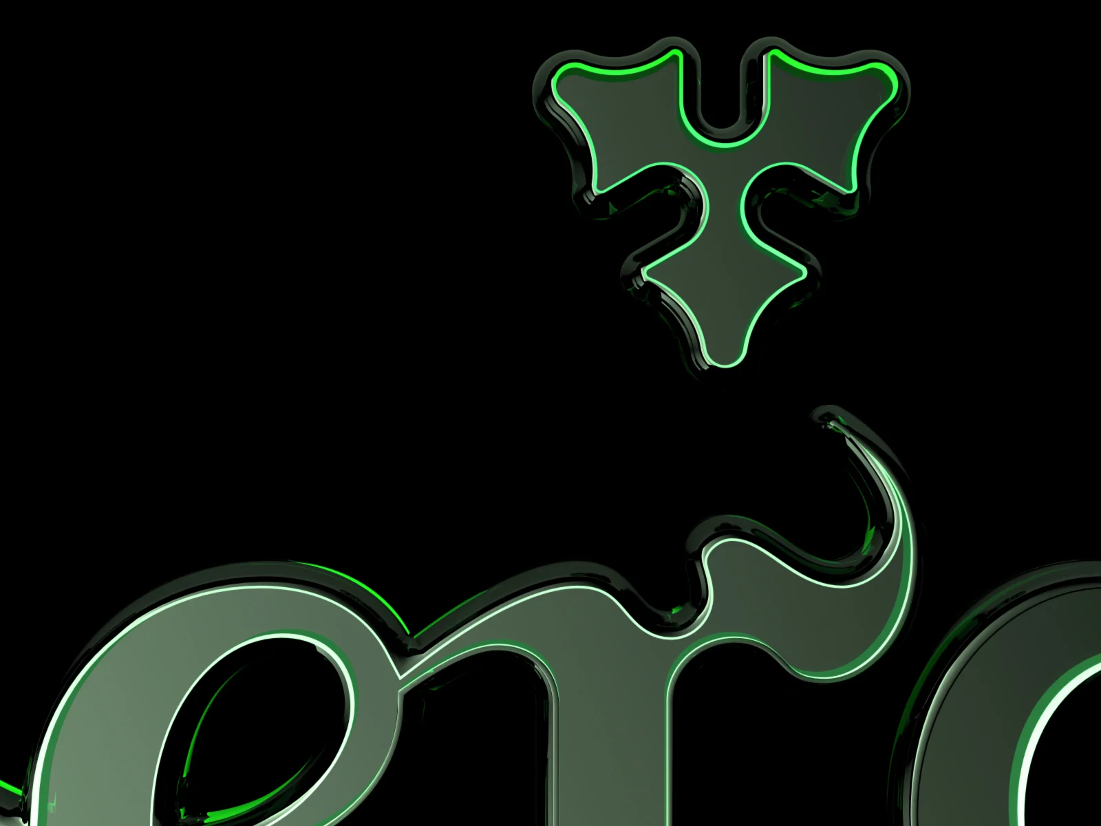closeup03.jpg