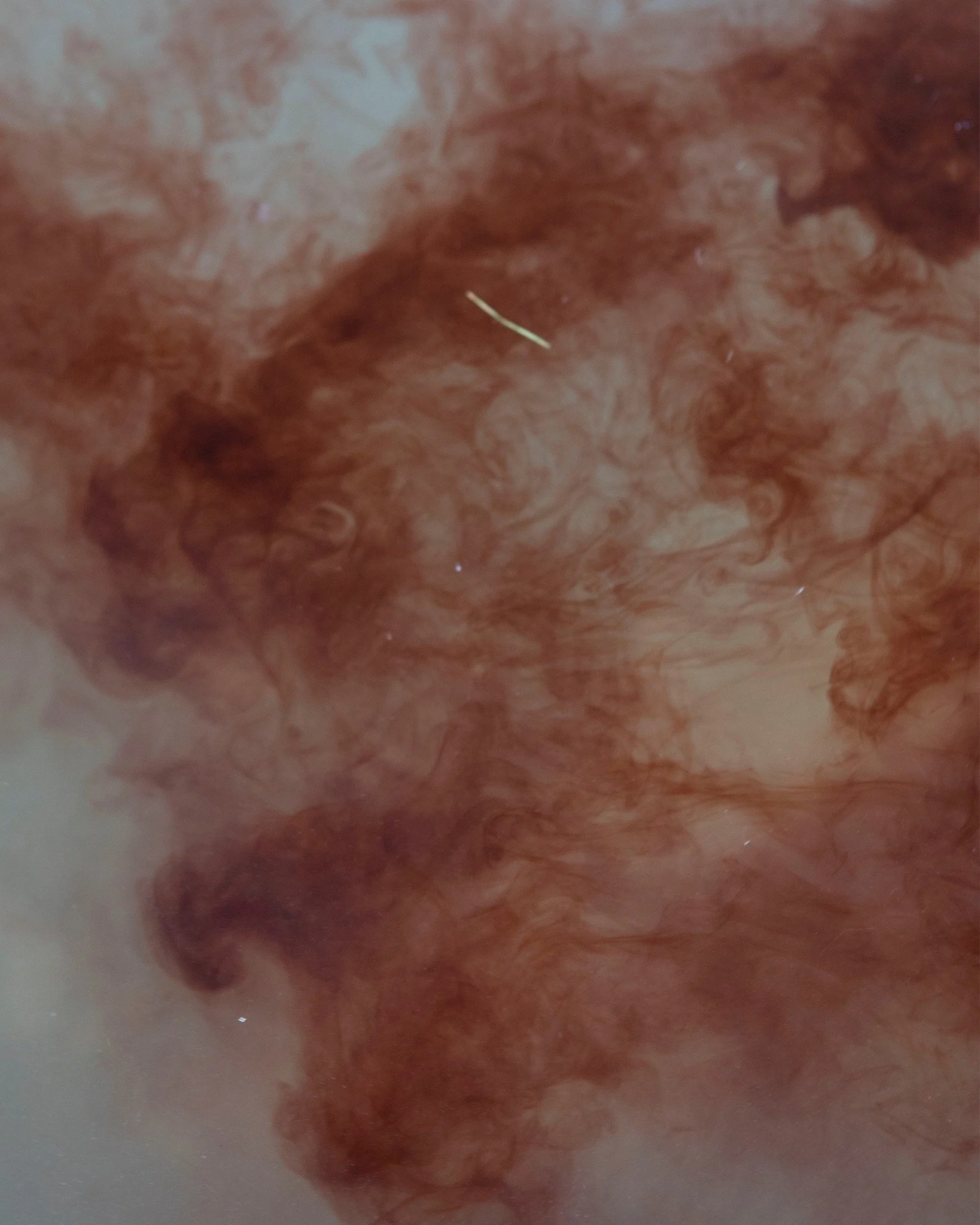 Dyeing is a deeply sensual, artisanal process. Yarns are washed and carefully immersed in dye baths. Temperature, duration, movement&mdash;every step requires experience and attention. The moment the yarn emerges from the dye bath is a small event: t