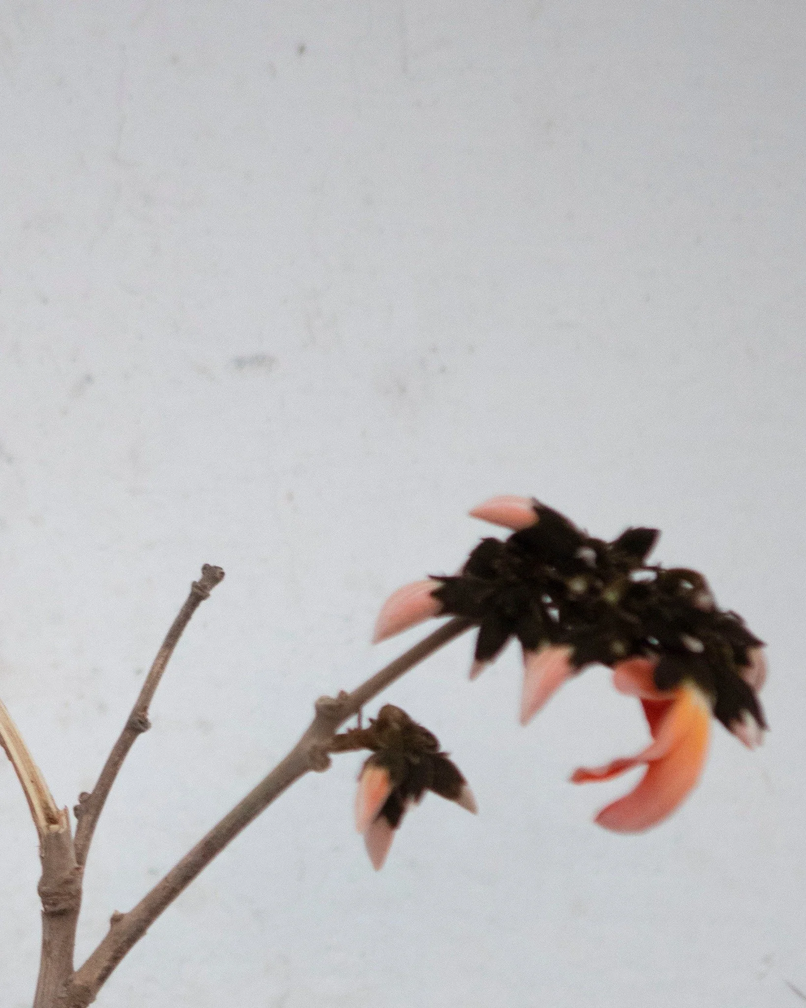 Inspiration is a quiet impulse. It occurs unexpectedly, generates something new, and transforms perception into a concept.

pic @rene_fietzek