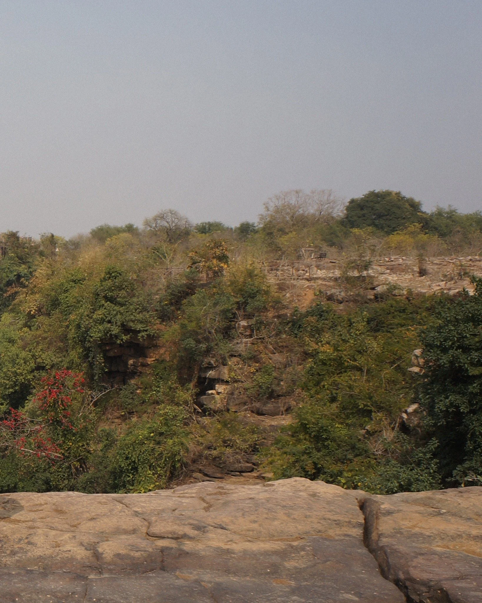 Stone and life, harsh and tender, 
woven together in a timeless breath.