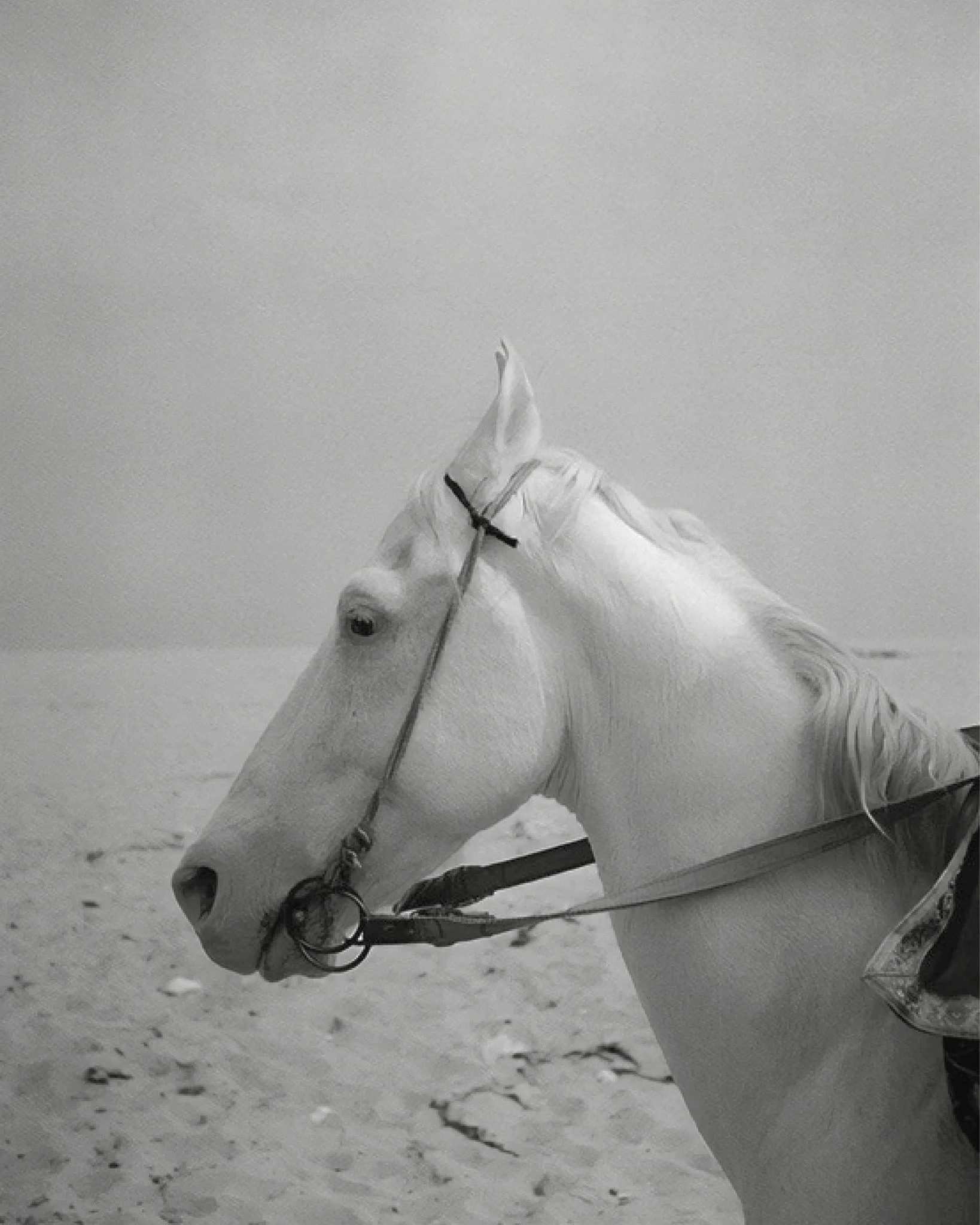 Varanasi, India 2023

Pic @rene_fietzek