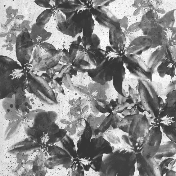 Floral.jpg