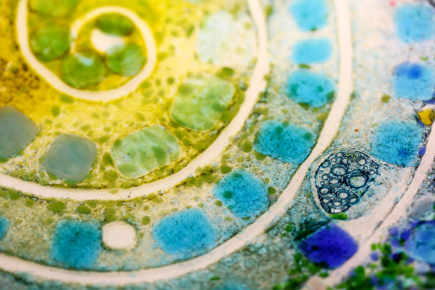 helen-grierson-glass-artist-3115.jpg