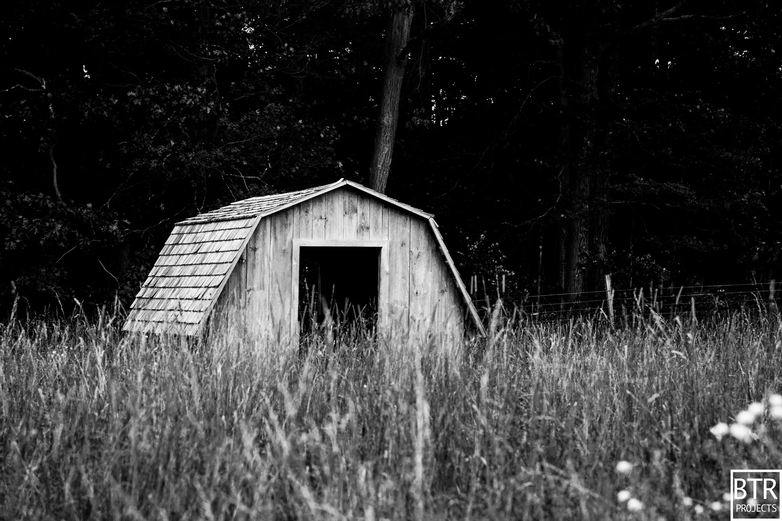 The Farm