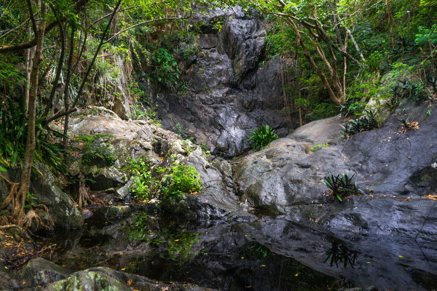 St. John Petroglyph