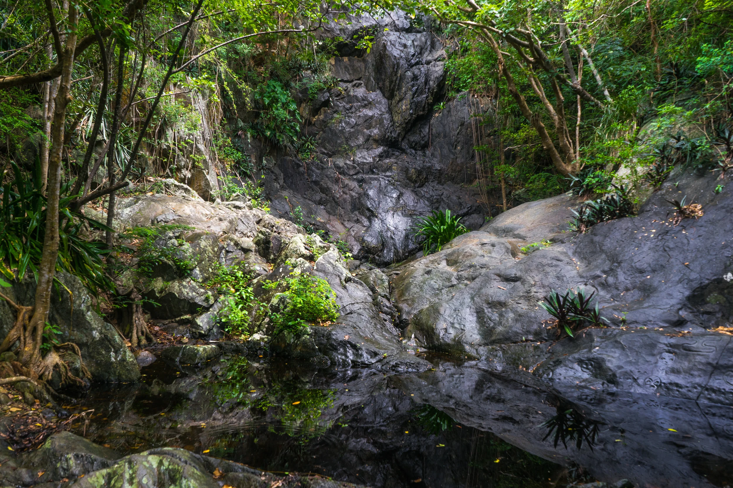 St. John Petroglyphs
