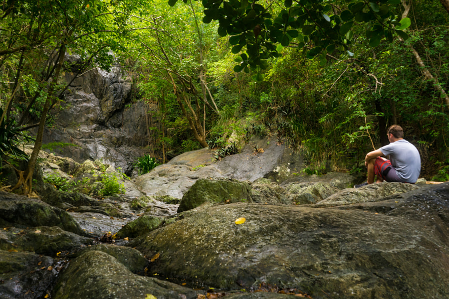 A View of St John's Petroglyphs