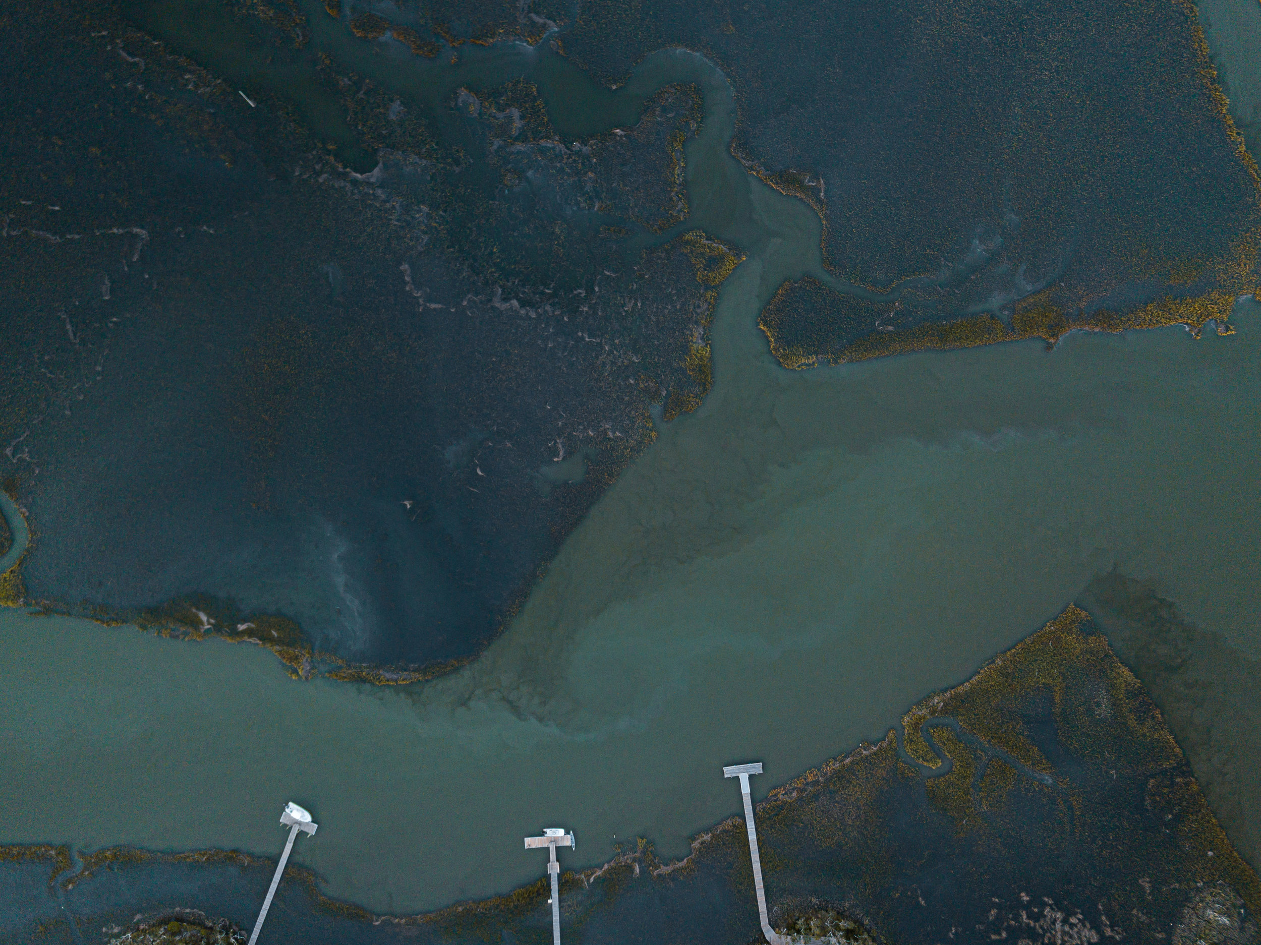 Docks of the Marsh