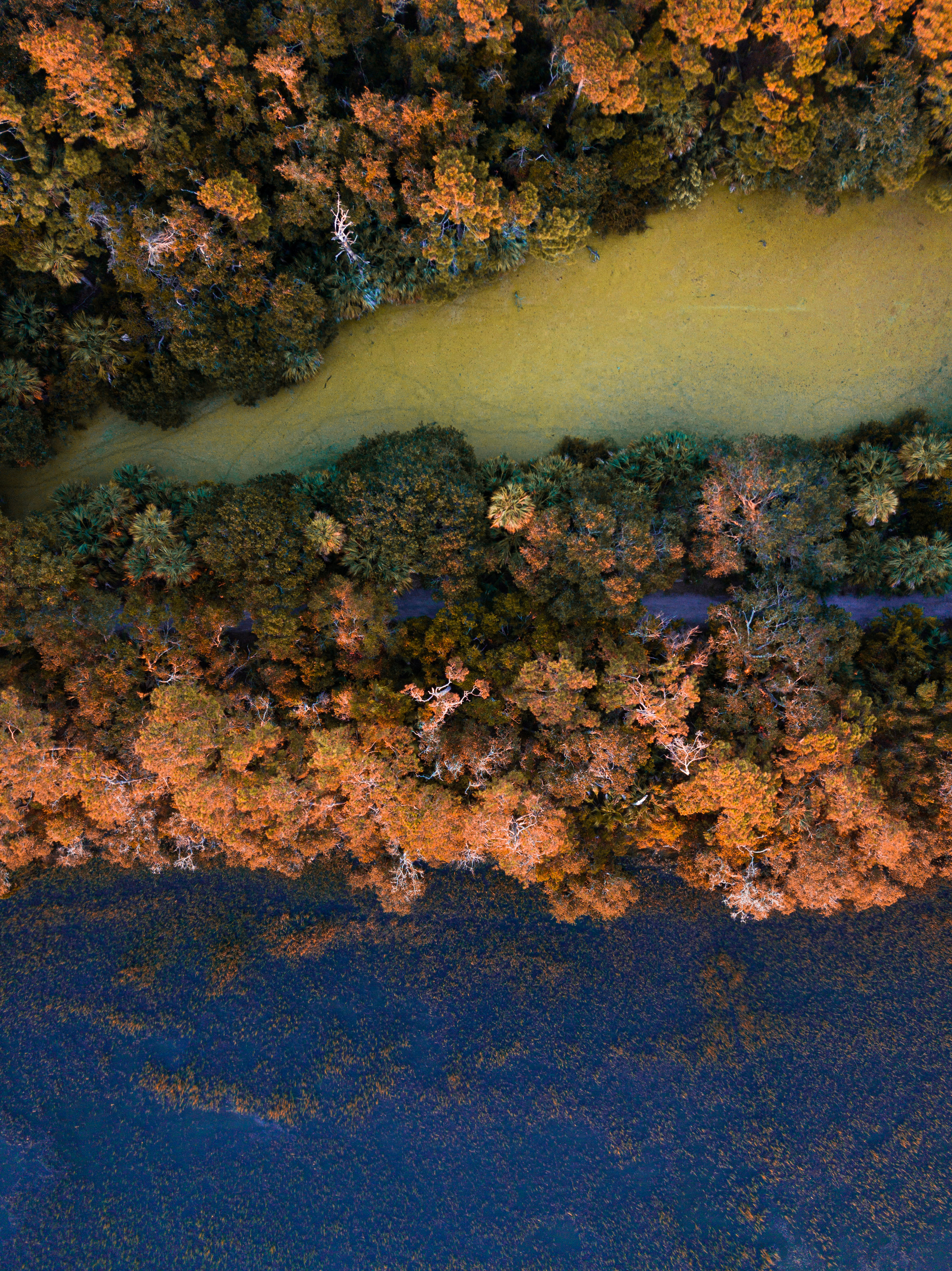 Marsh Meeting Land