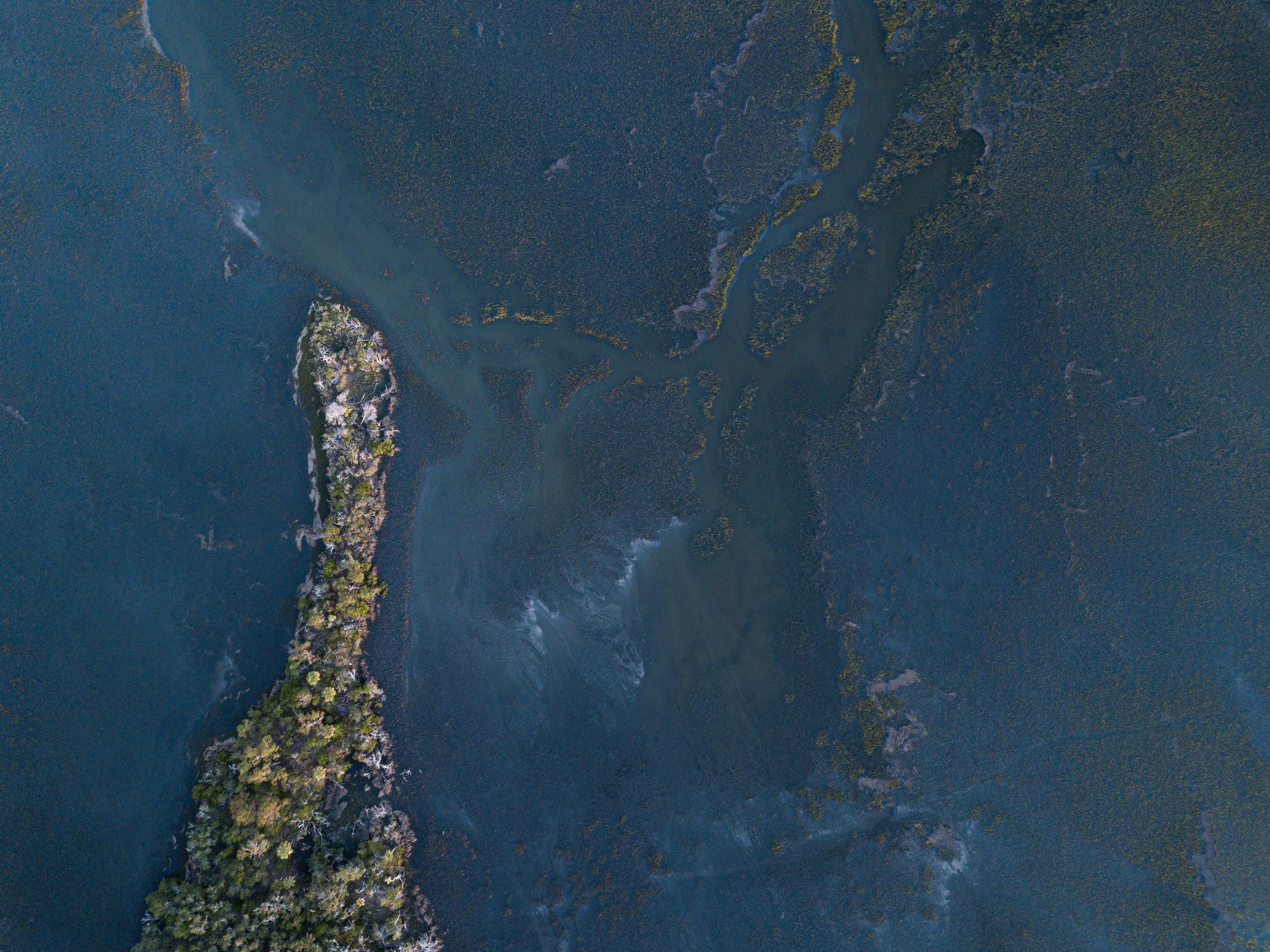 Marshes in Blue