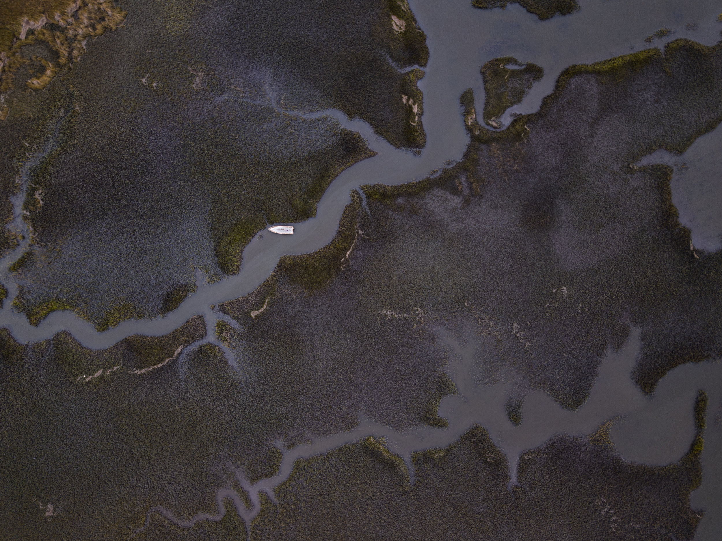 Purple Marshes of Paint