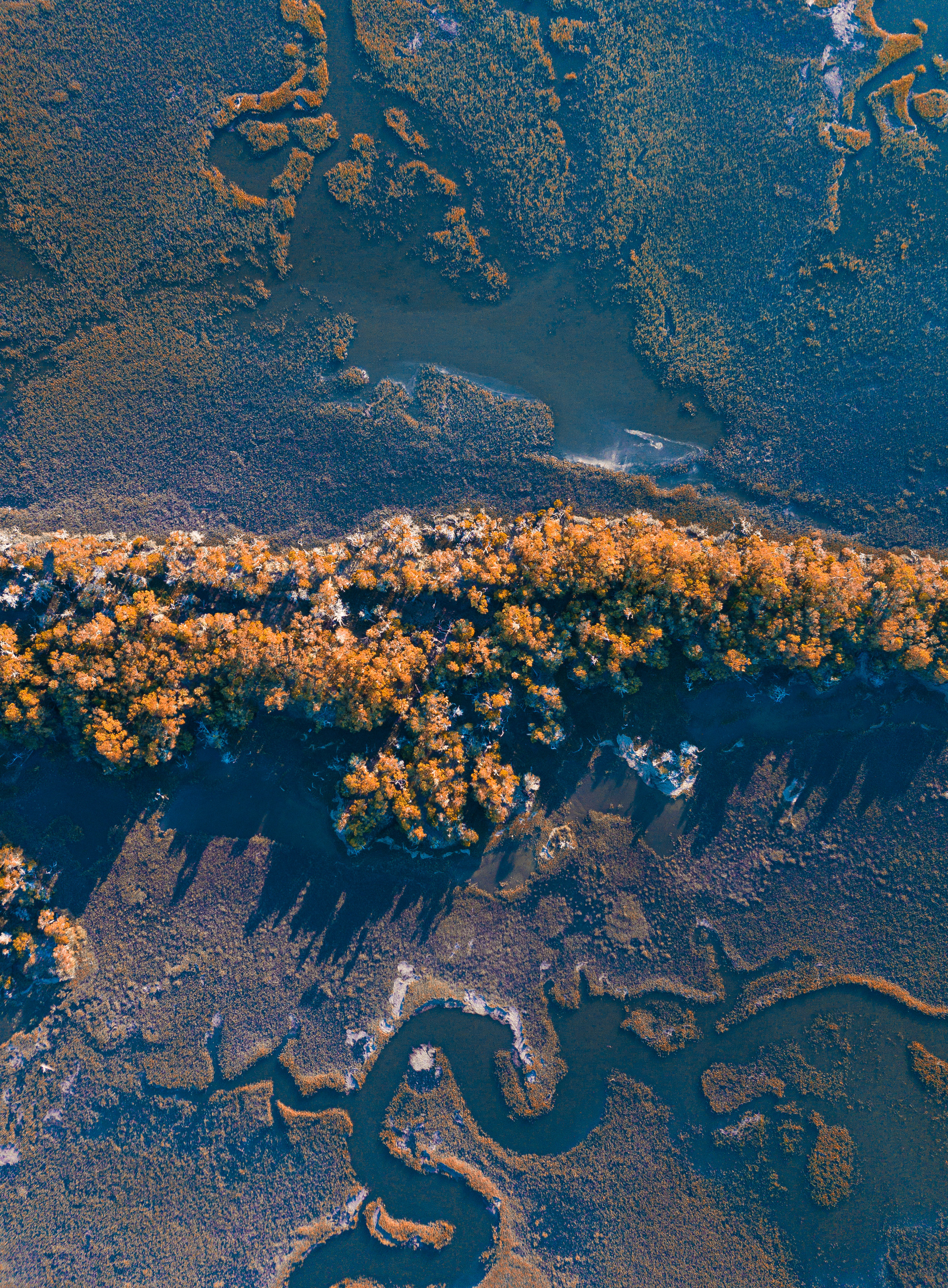 The Dividing Line of Marsh
