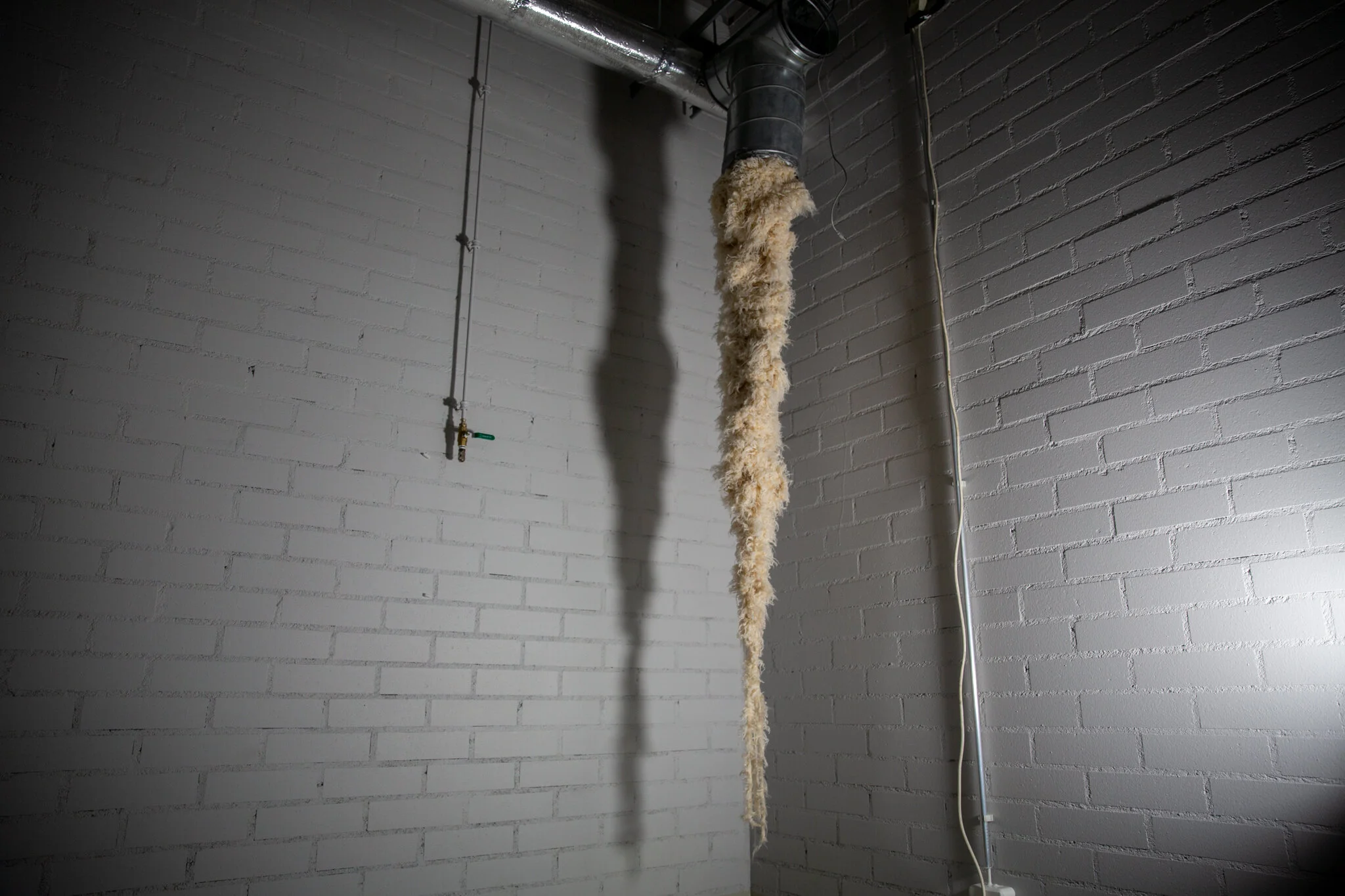 Untitled-1.jpg