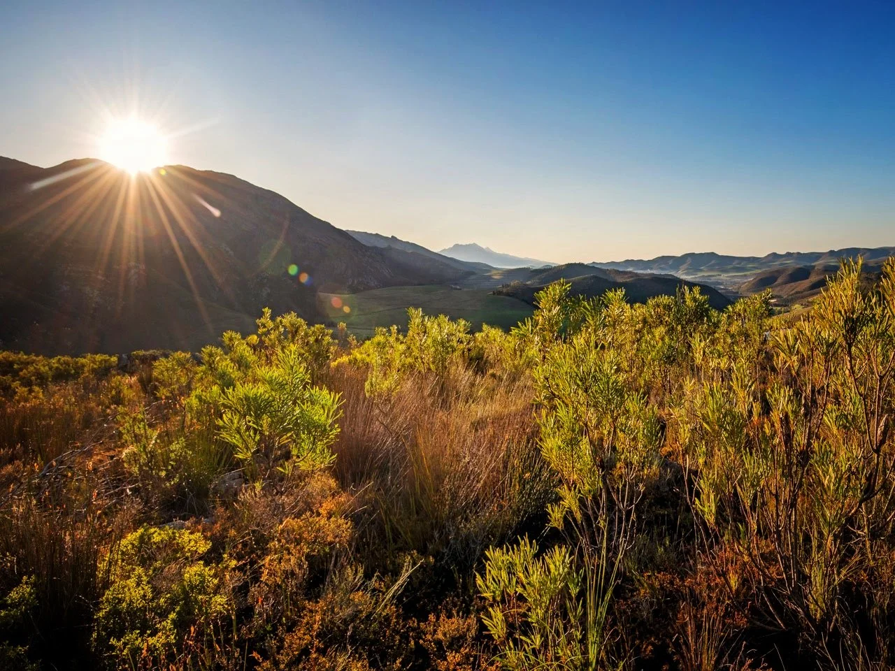 5_Rusty-Gate_Scenic_Sunrise 2.jpg