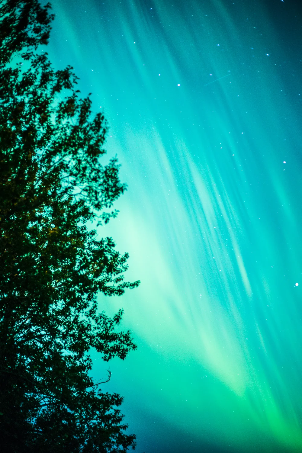 Aurora Borealis-8.jpg