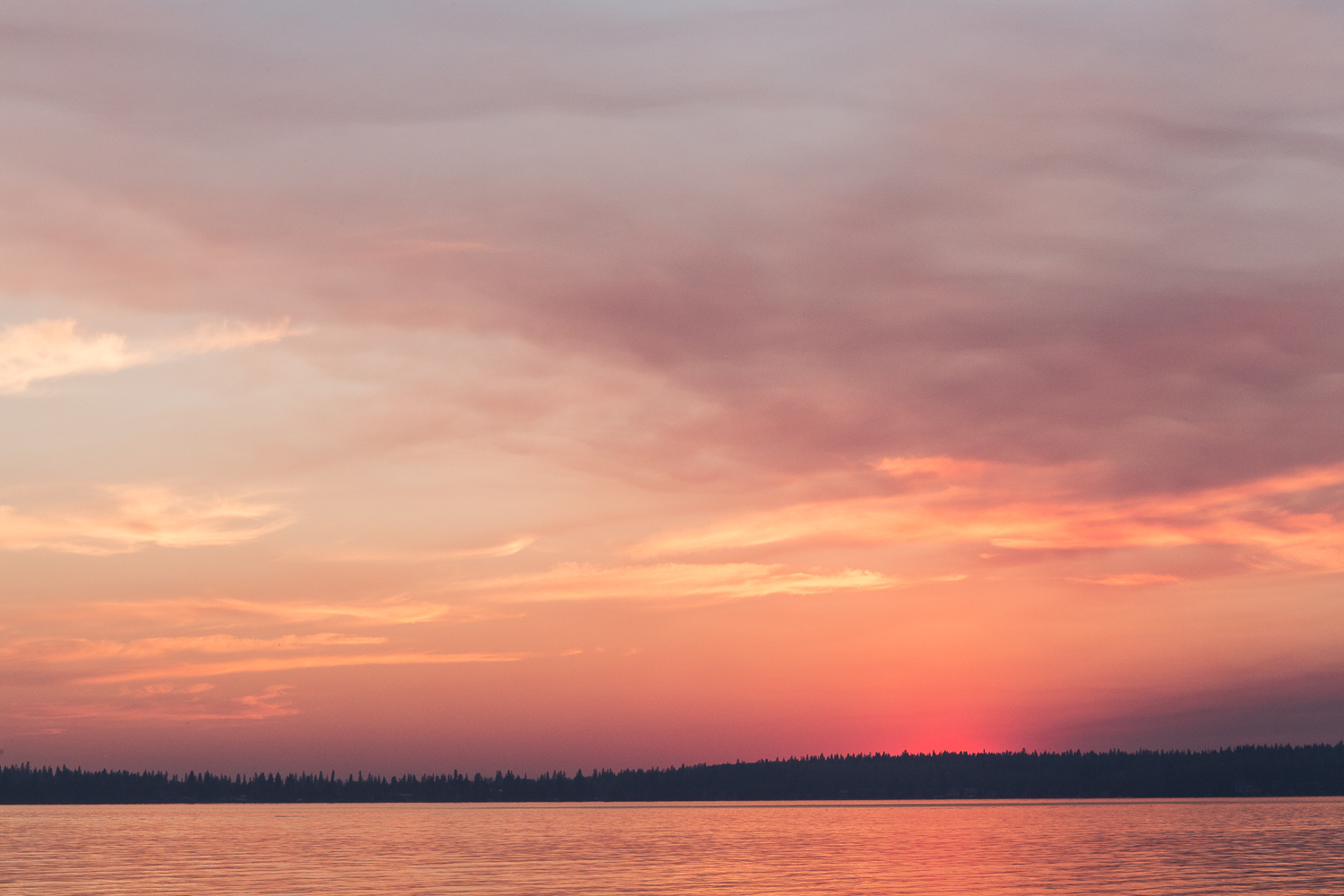 Living Skies-1.jpg