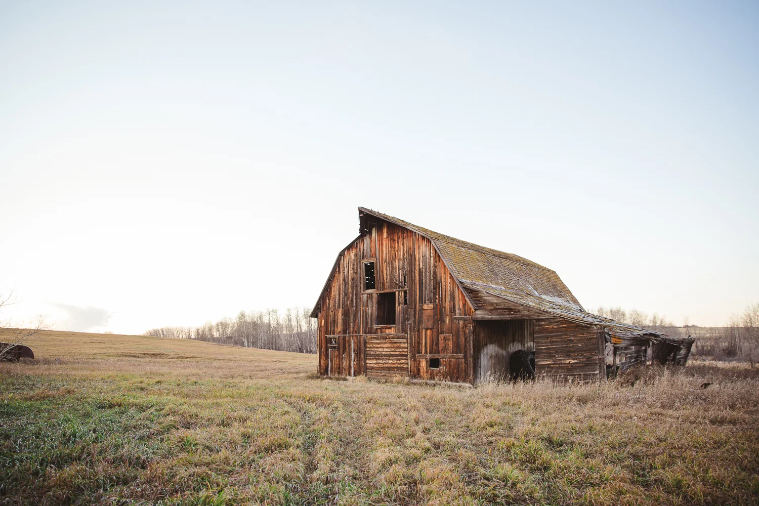 © Katee Pederson-147.jpg