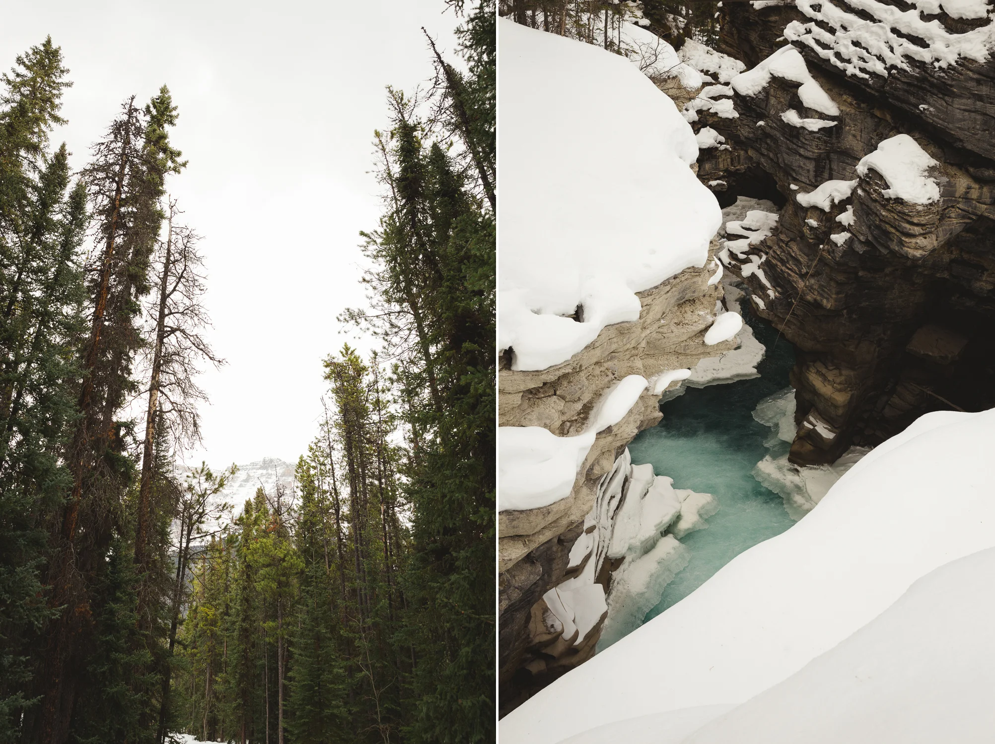 © Katee Pederson-23 copy.jpg
