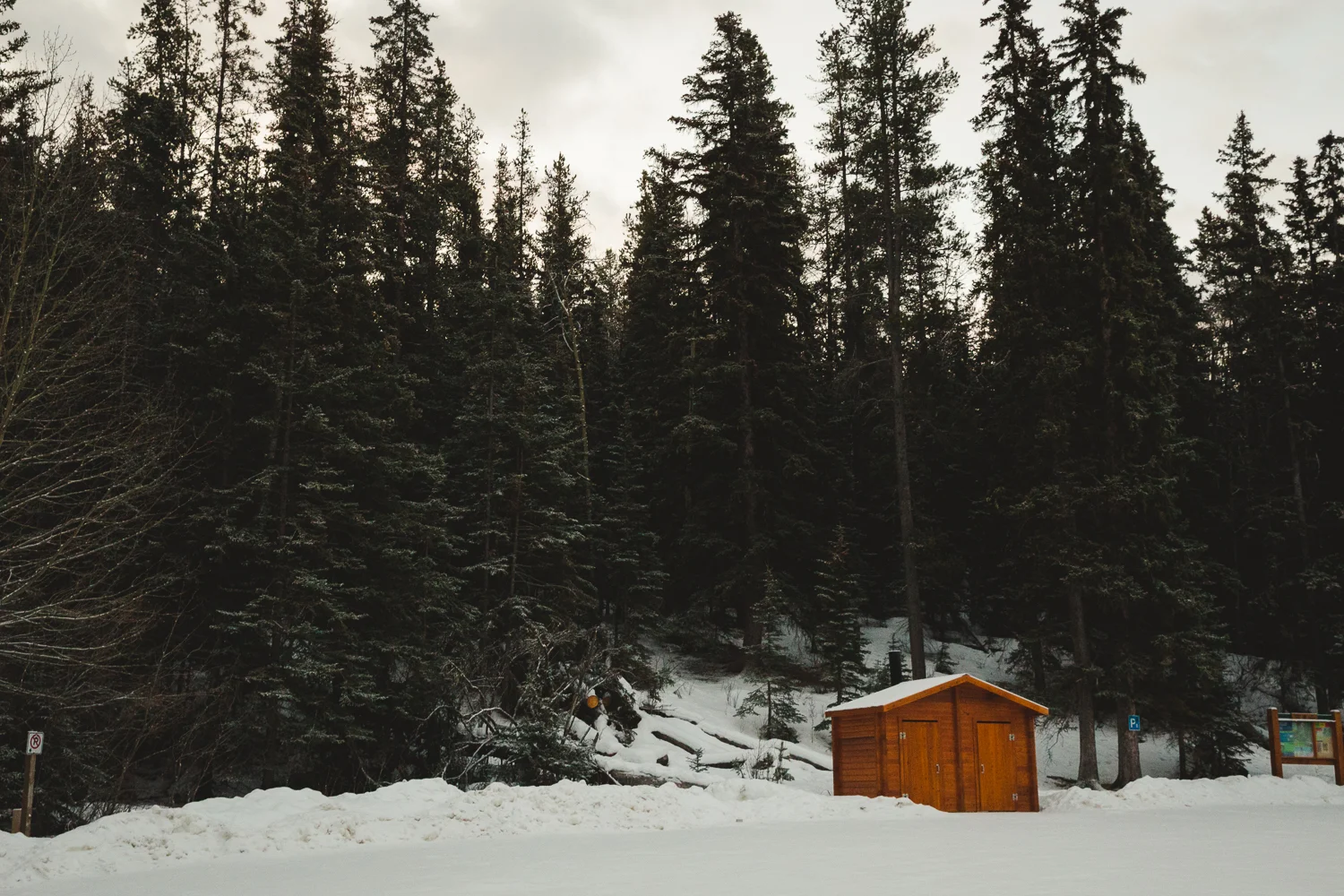 © Katee Pederson-13.jpg