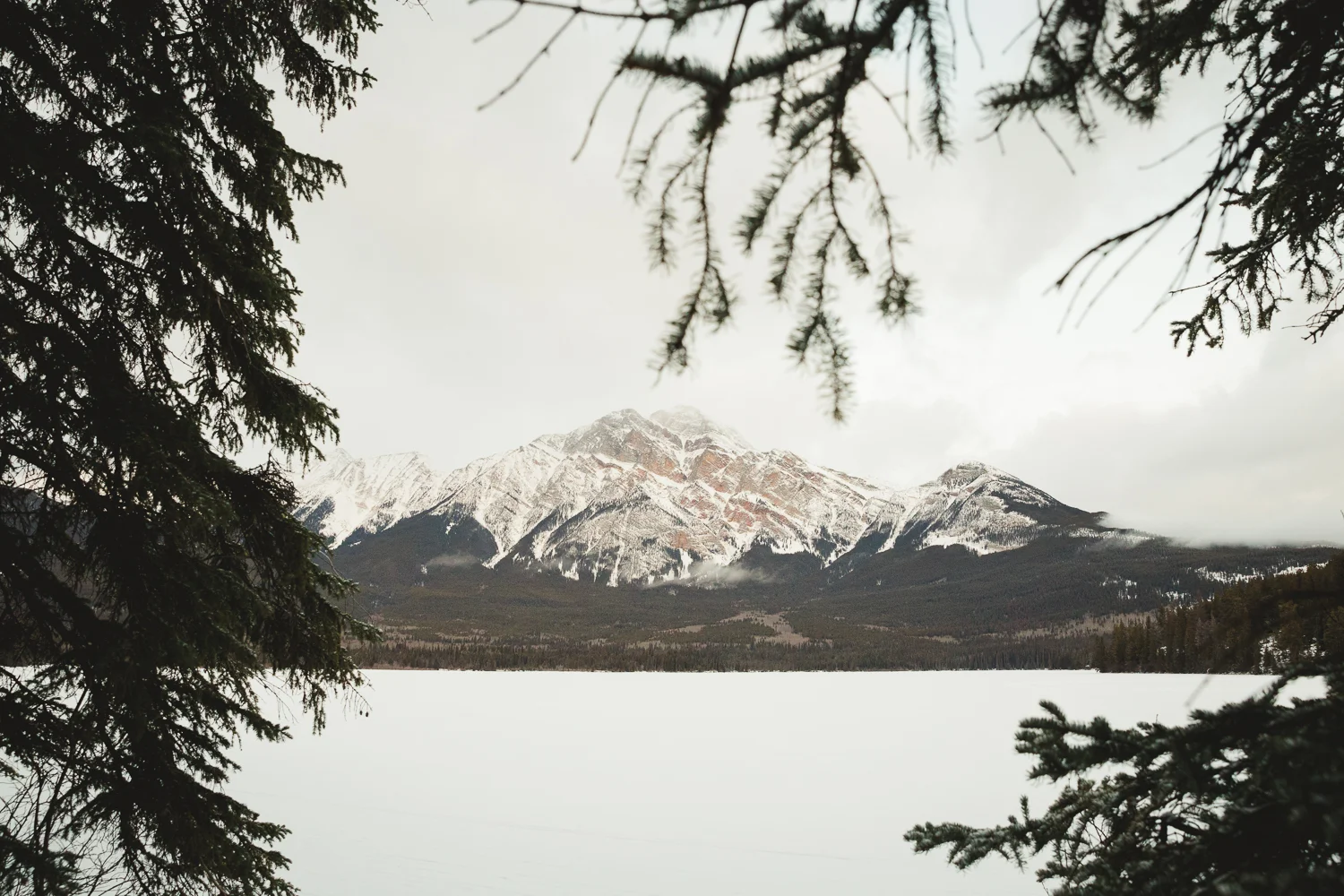 © Katee Pederson-17.jpg