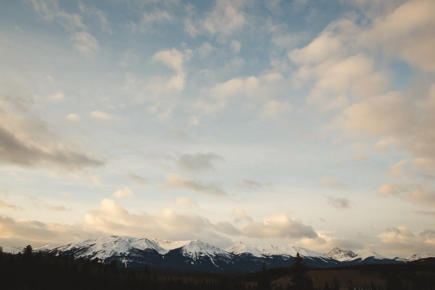 © Katee Pederson-28.jpg