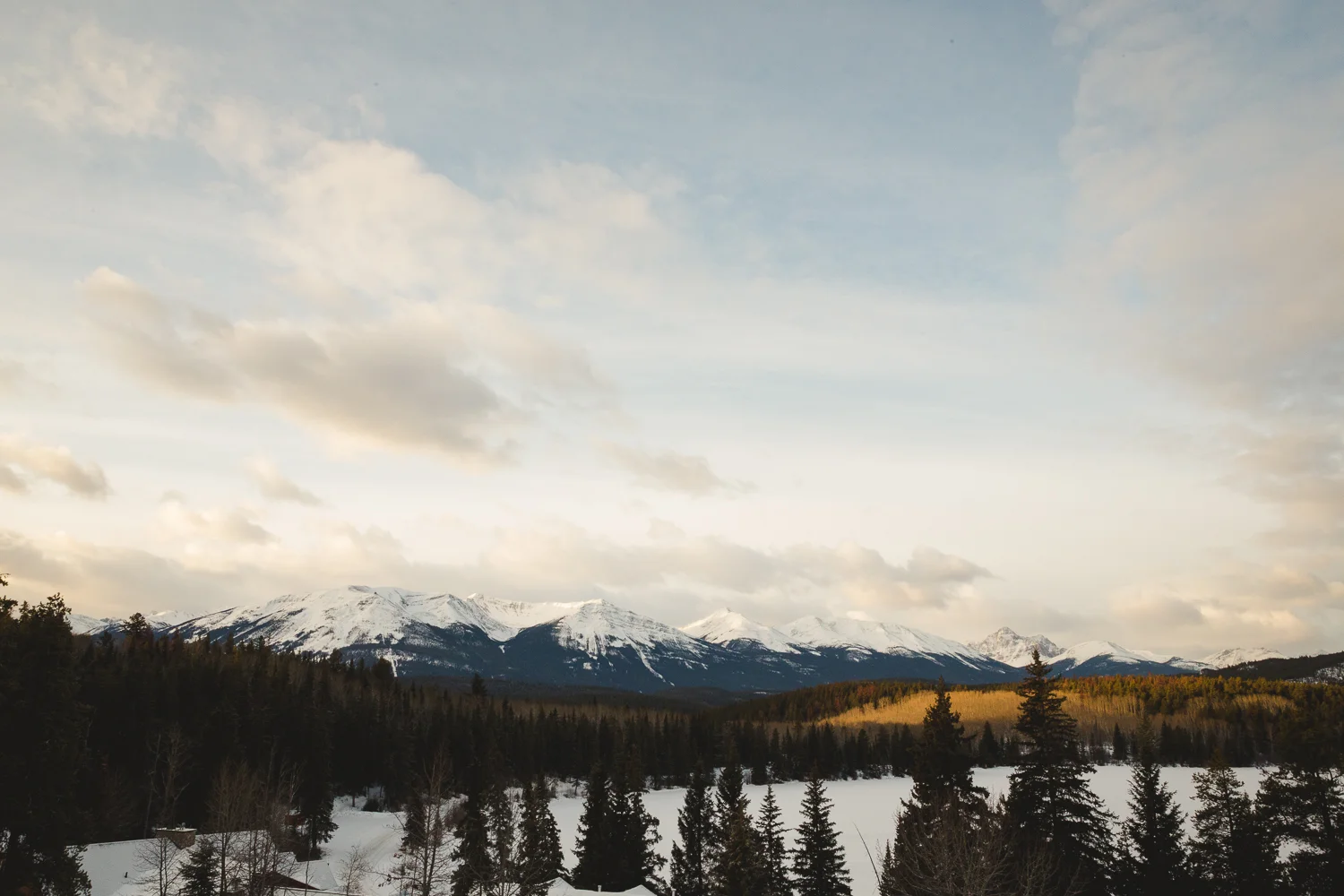 © Katee Pederson-30.jpg