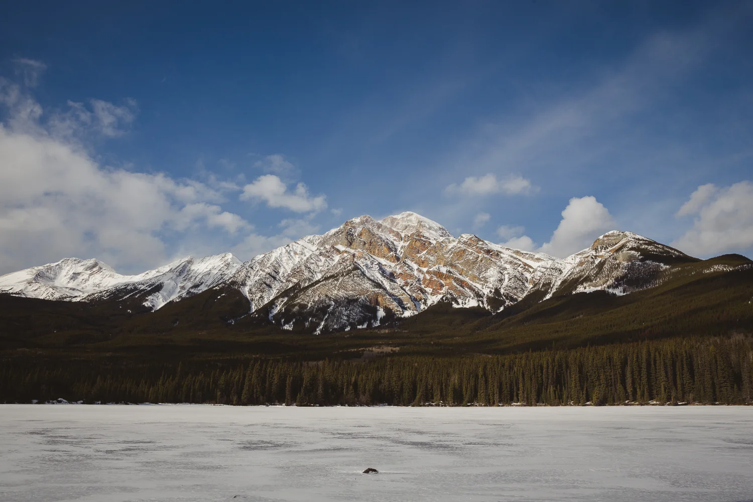 © Katee Pederson-39.jpg