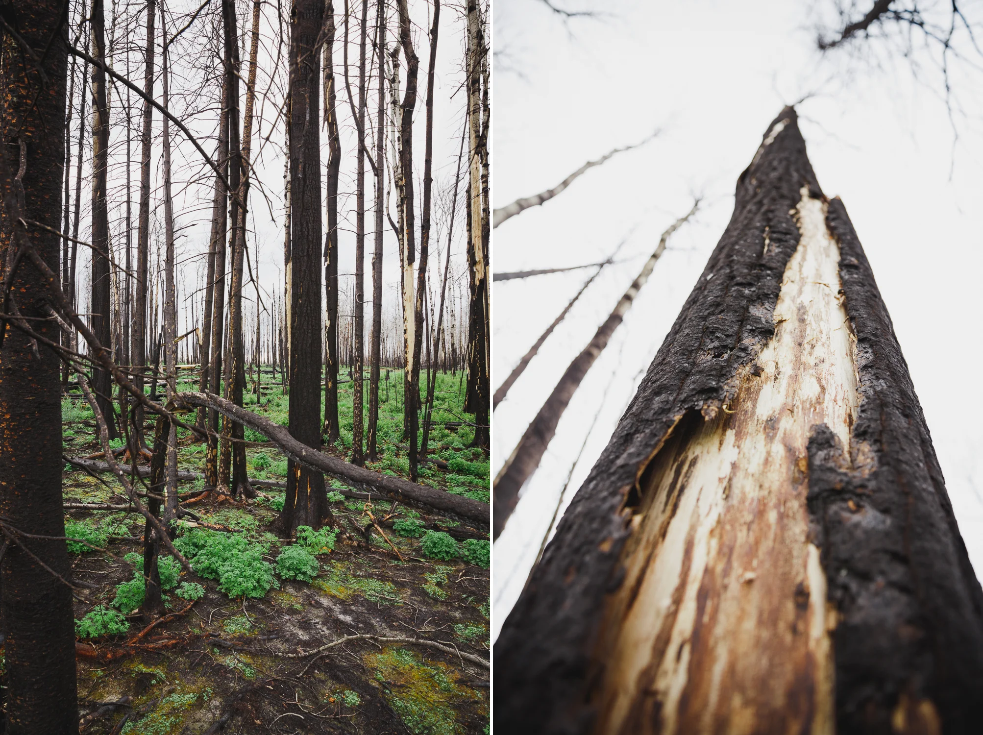 © Katee Pederson-63 copy.jpg