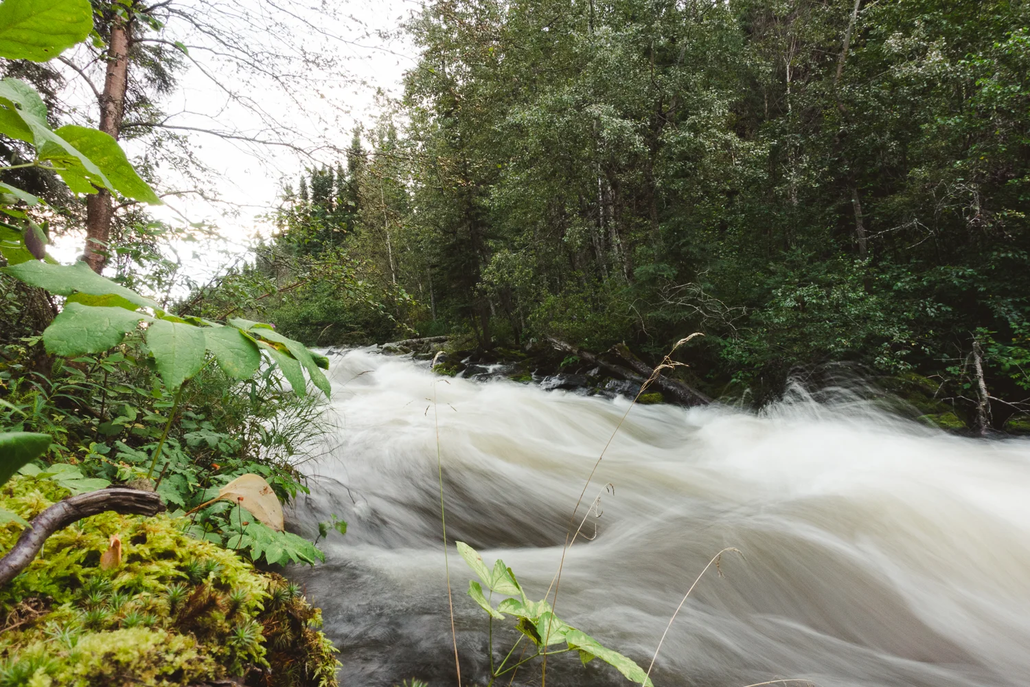 Canoe Trip-15.jpg