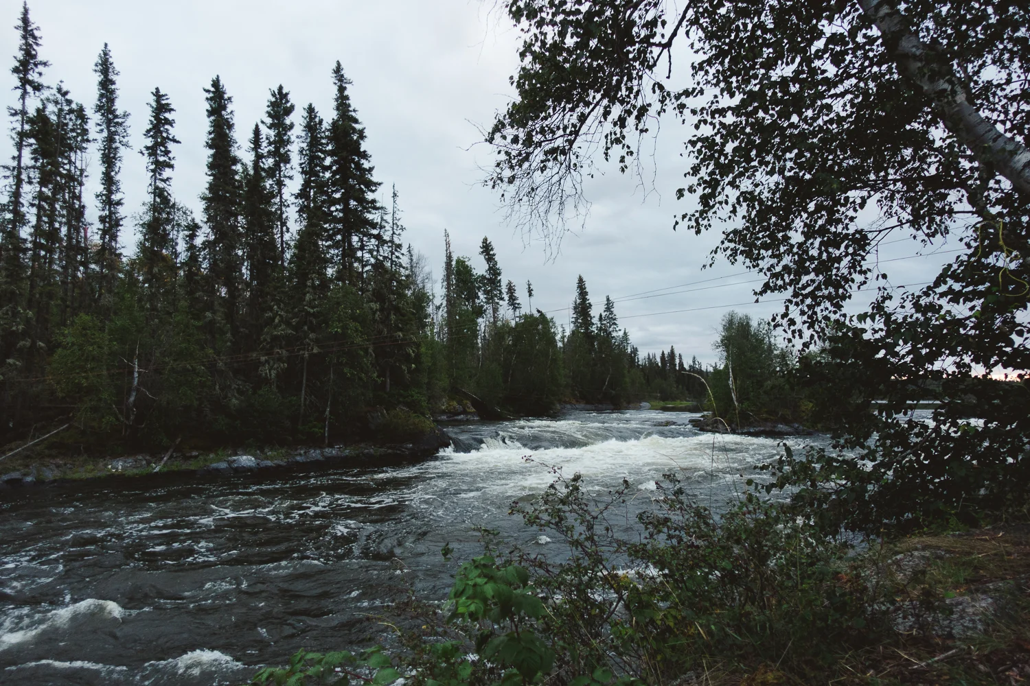 Canoe Trip-39.jpg