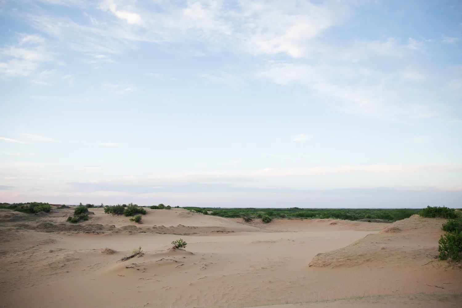 ©KateePederson-DouglasPP-42.jpg