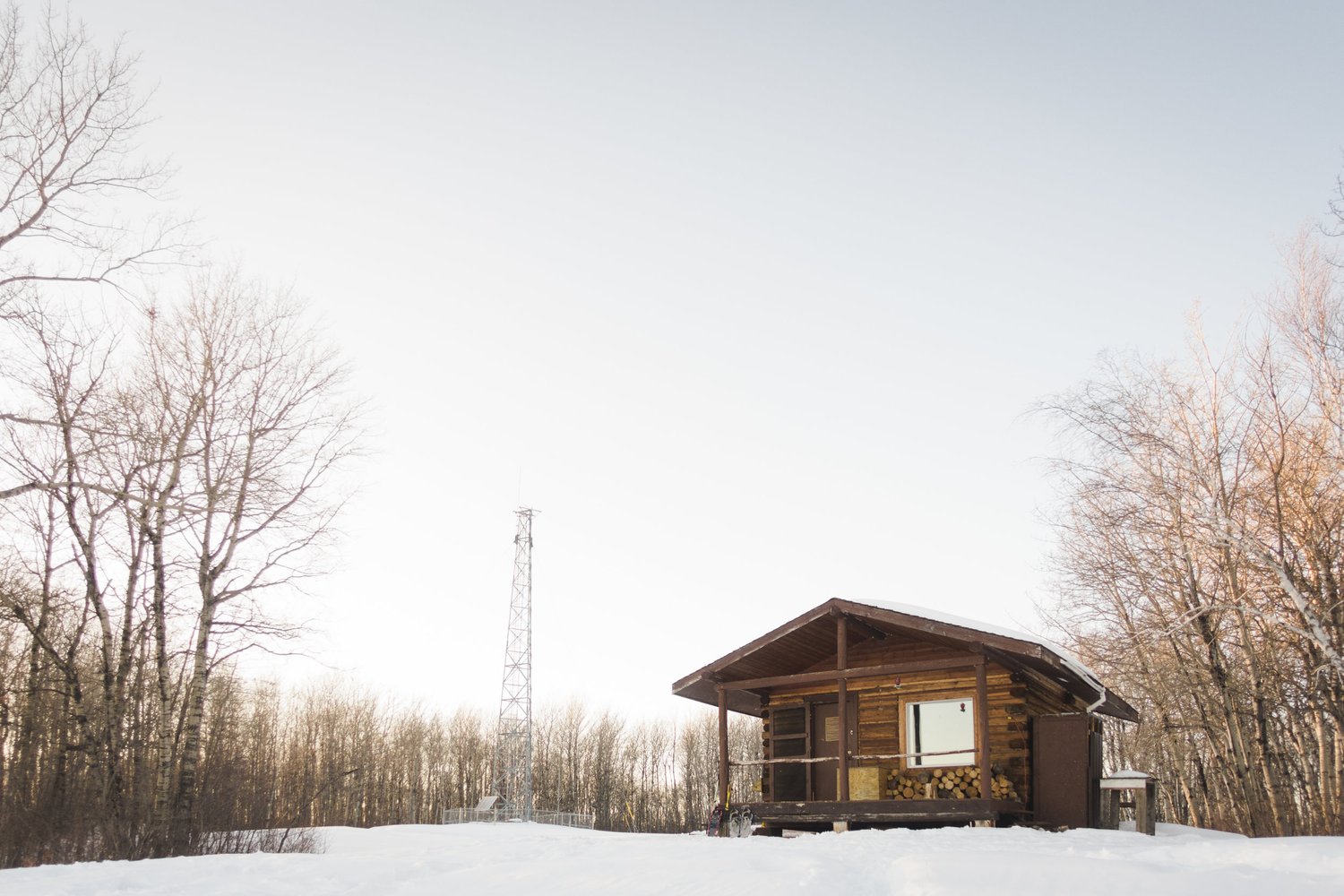 Katee Pederson Tower Cabin In Great Blue Heron Provincial Park