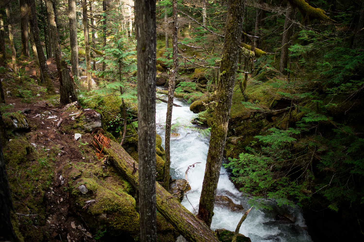 ©KateePederson-Banff-Revy-78.jpg