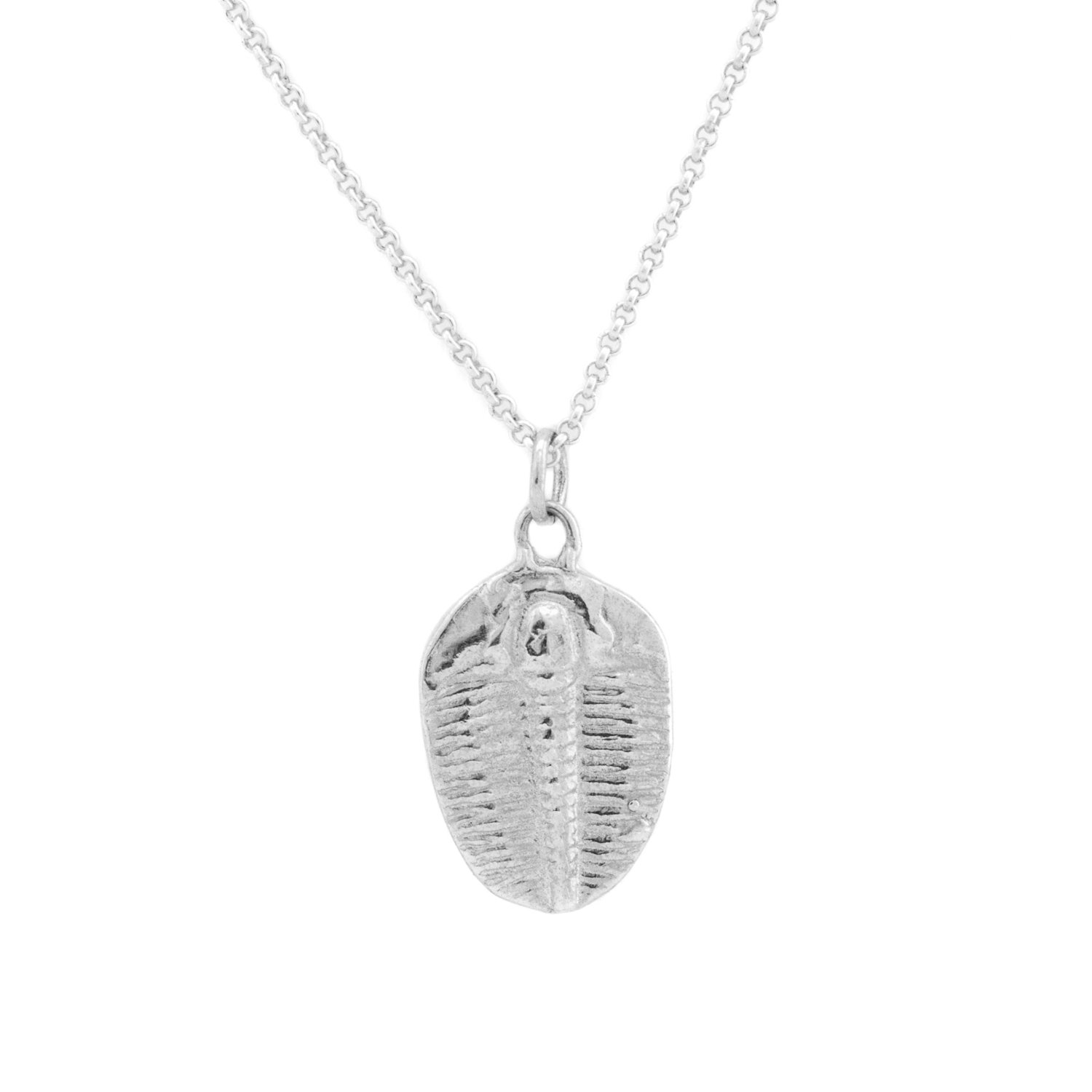 trilobite-pendant-silver-necklace-1.jpg