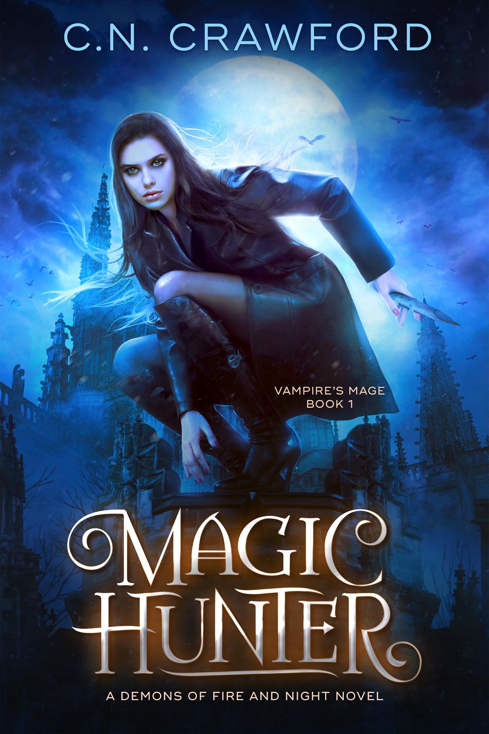 Book 1: Magic Hunter