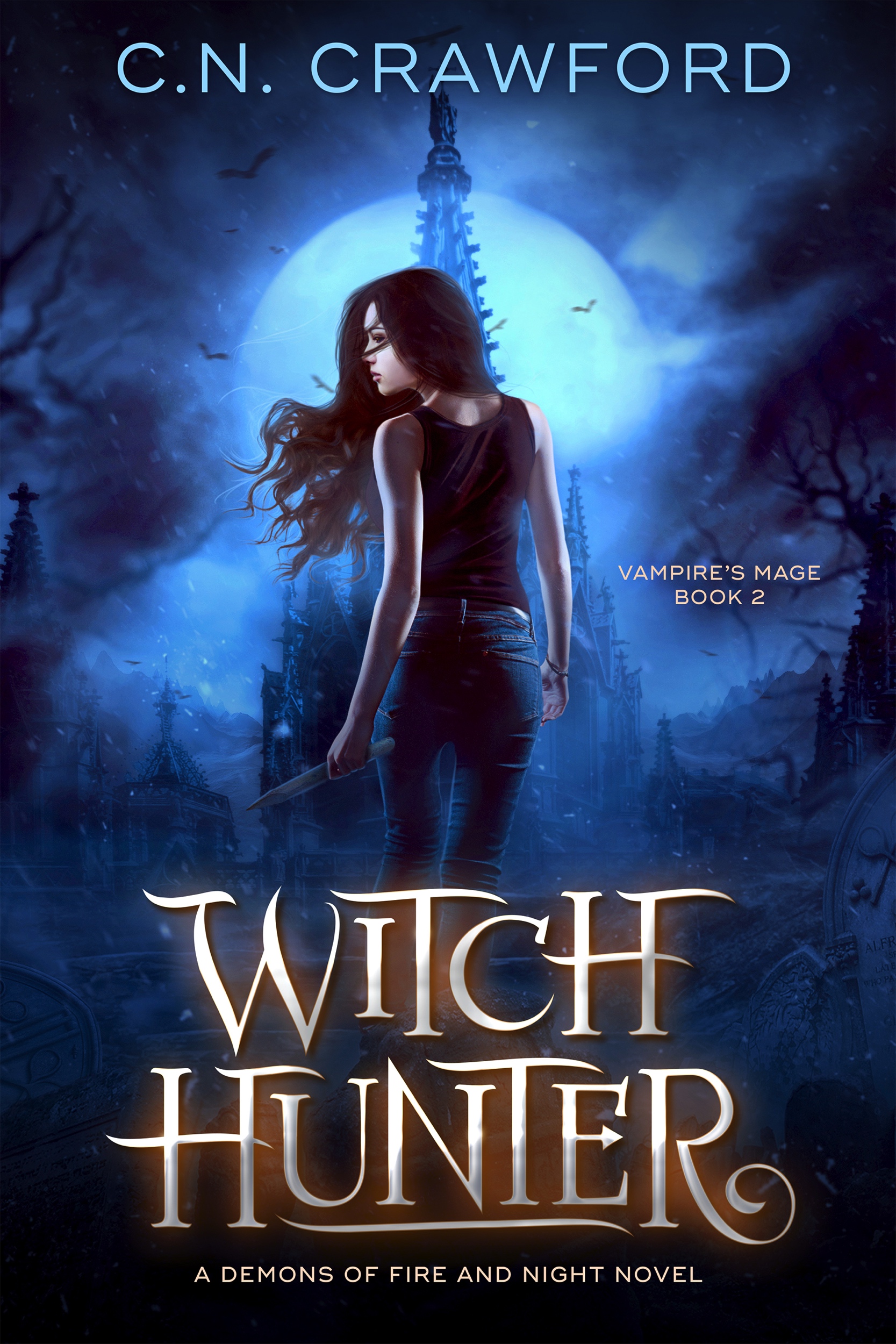 Book 2: Witch Hunter