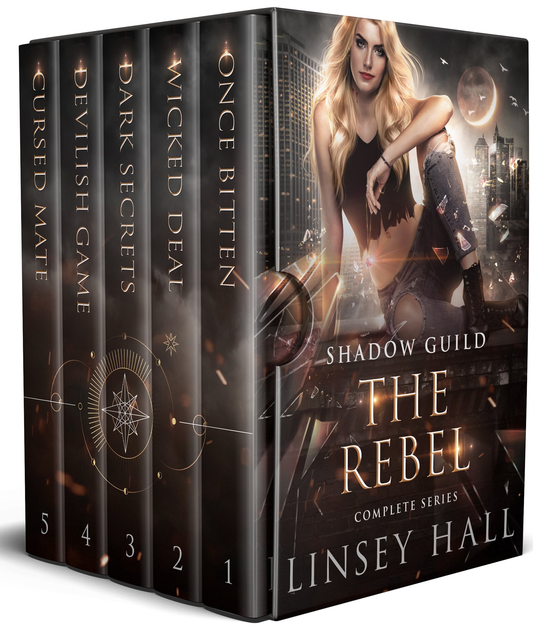 Linsey Hall, 4 book Shadow Guild Box Set