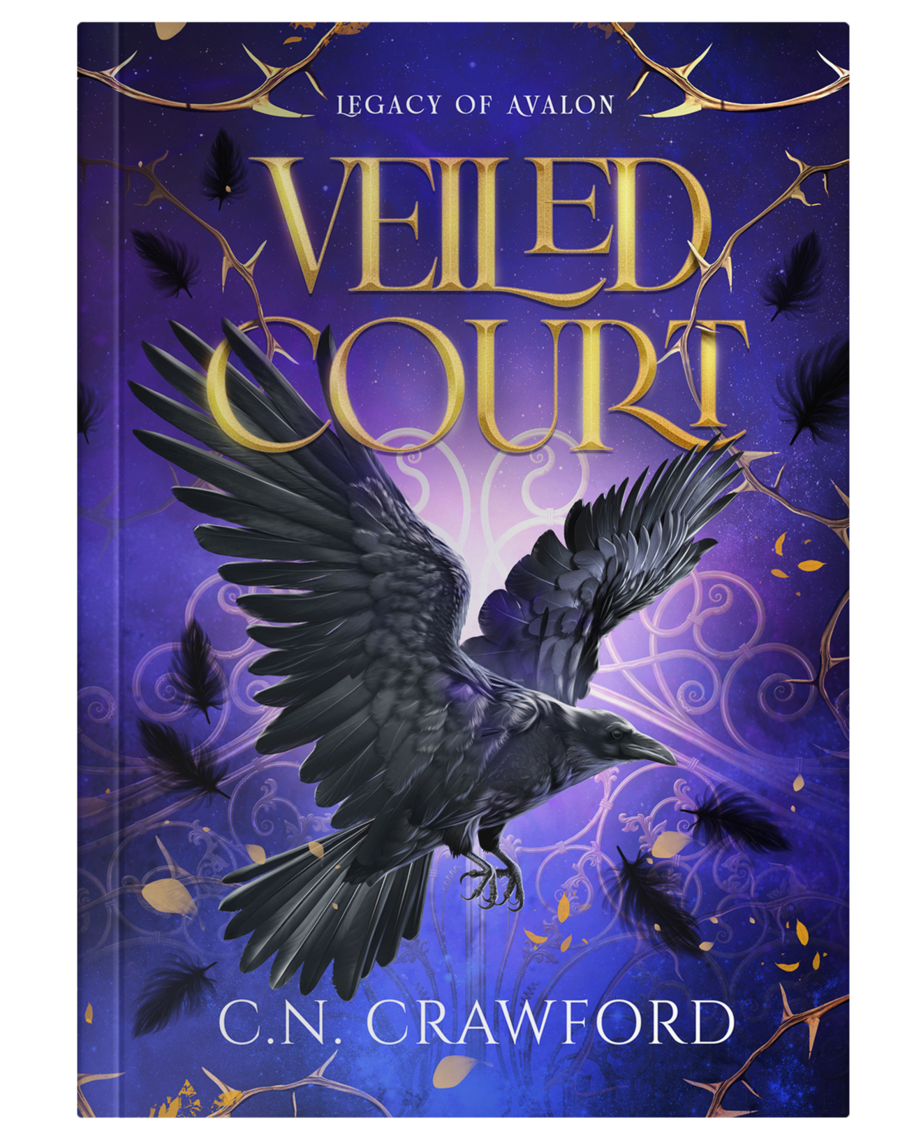 Veiled Court Book Cover