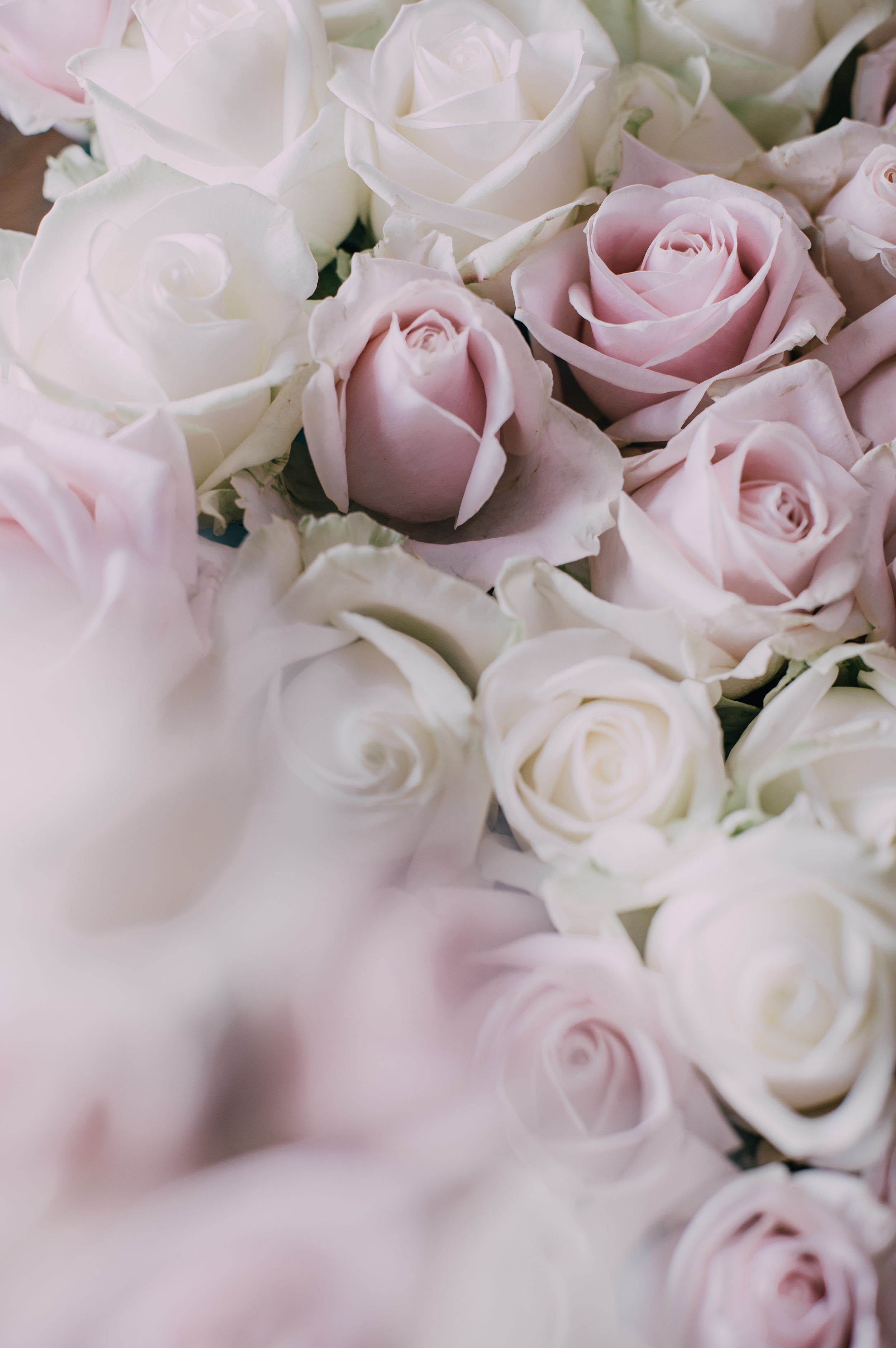 HAPPY WOMEN'S DAY!