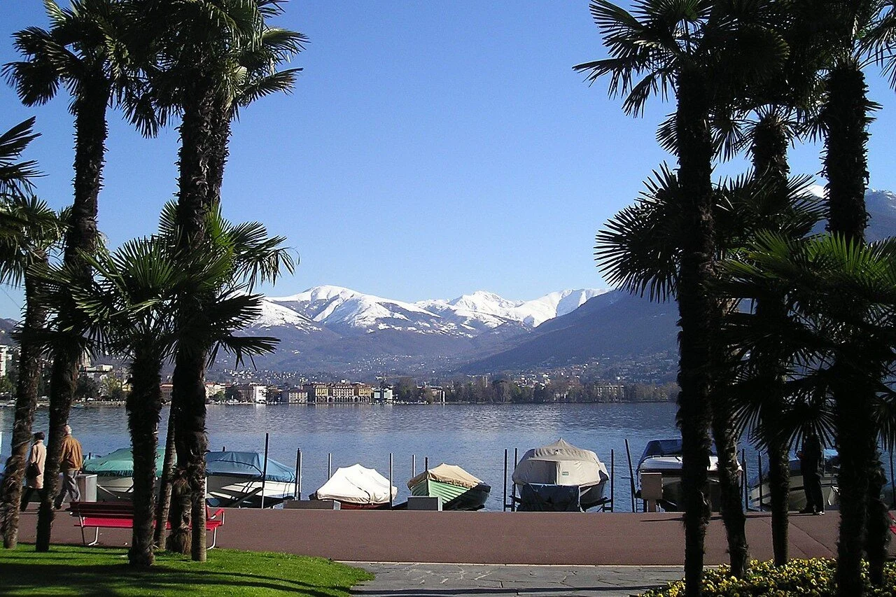 PROJECT: New wellness centre, Lugano – Switzerland (classes, treatments and shared workspace). SERVICES: Business plan, Budget, Project presentation
