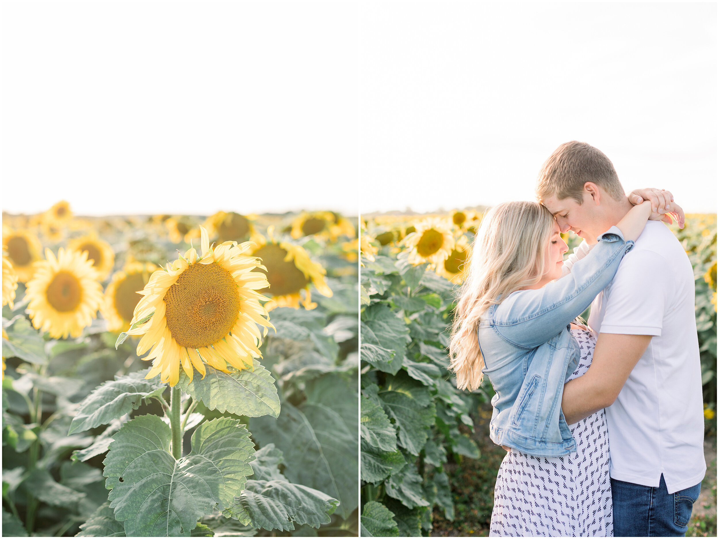 ottawa_sunflower_field_engagement-14.jpg