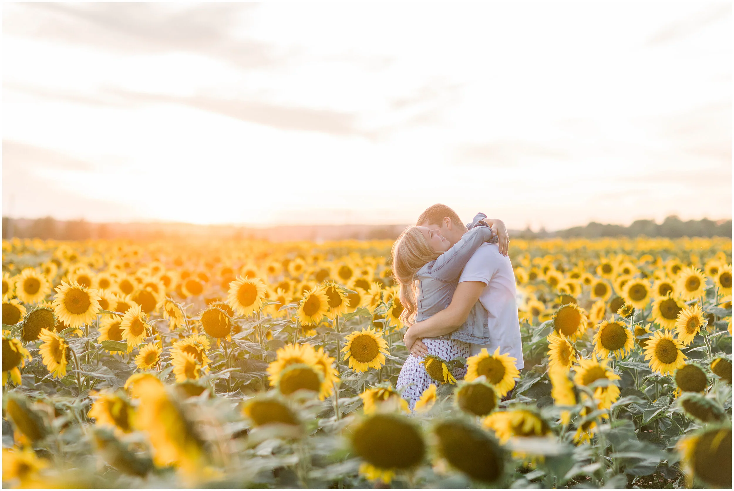 Sunflower Engagement Session at Sunset in Ottawa