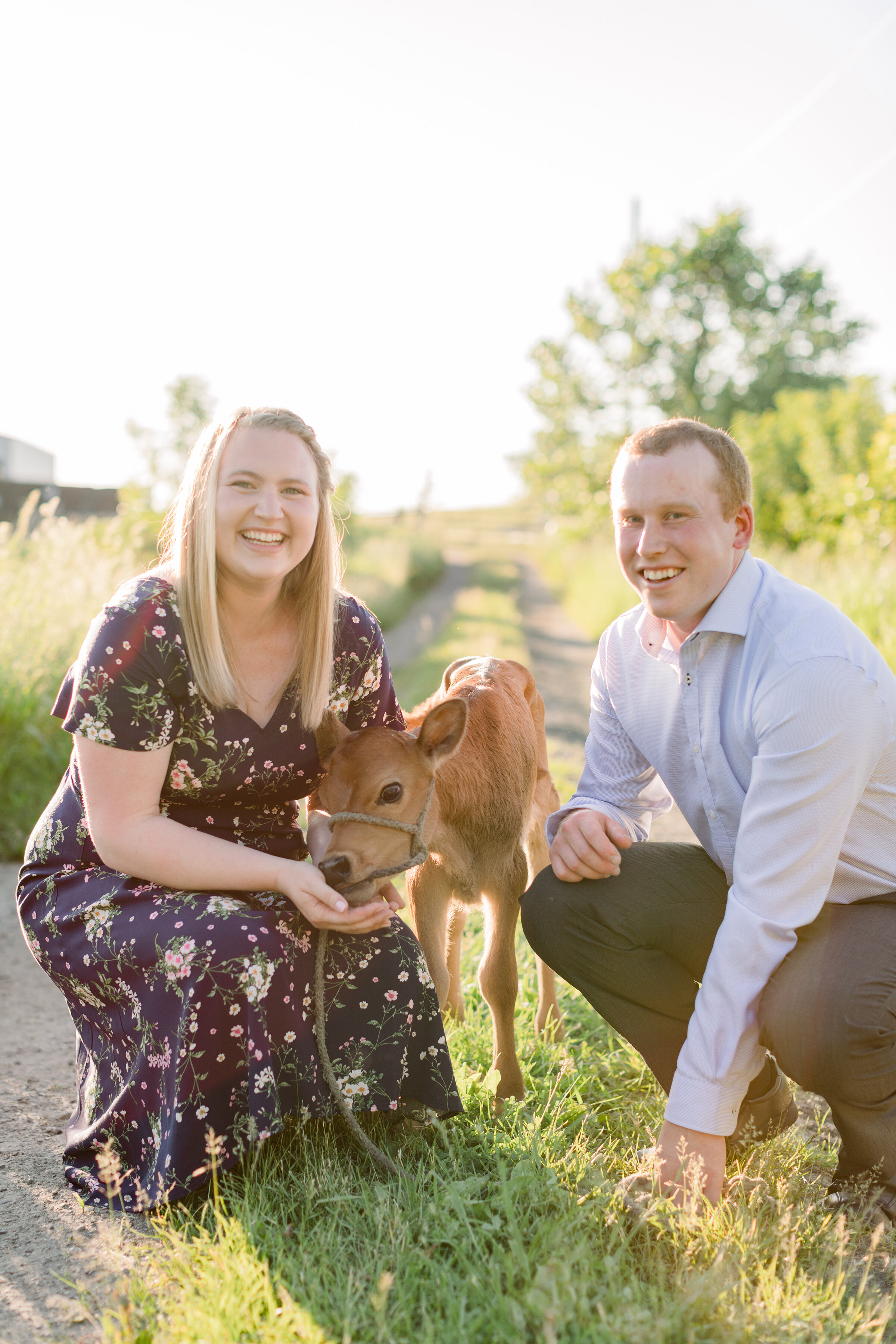  A beautiful couple feed a calf in a bright and airy engagement session on the farm. Country engagement session inspiration ideas and goals couple goals outdoor engagement session photo shoot with animals inspiration semi formal client attire inspira