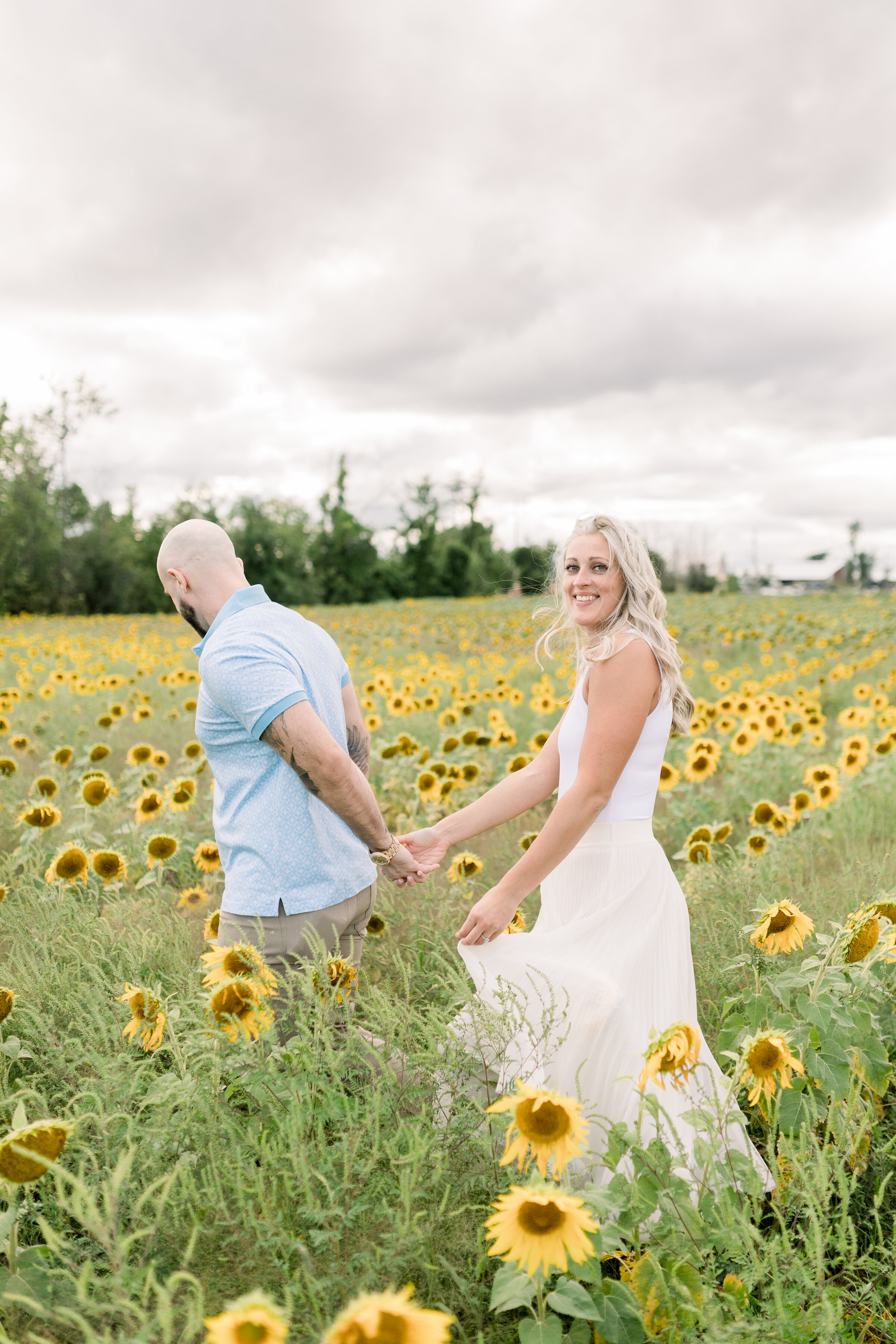  A man leads his beautiful fiancé through the sunflowers as she looks back at the camera in a beautiful bright and airy engagement session in Ottawa, Ontario. Chelsea Mason Photography professional engagement photographer outdoor photo shoot location